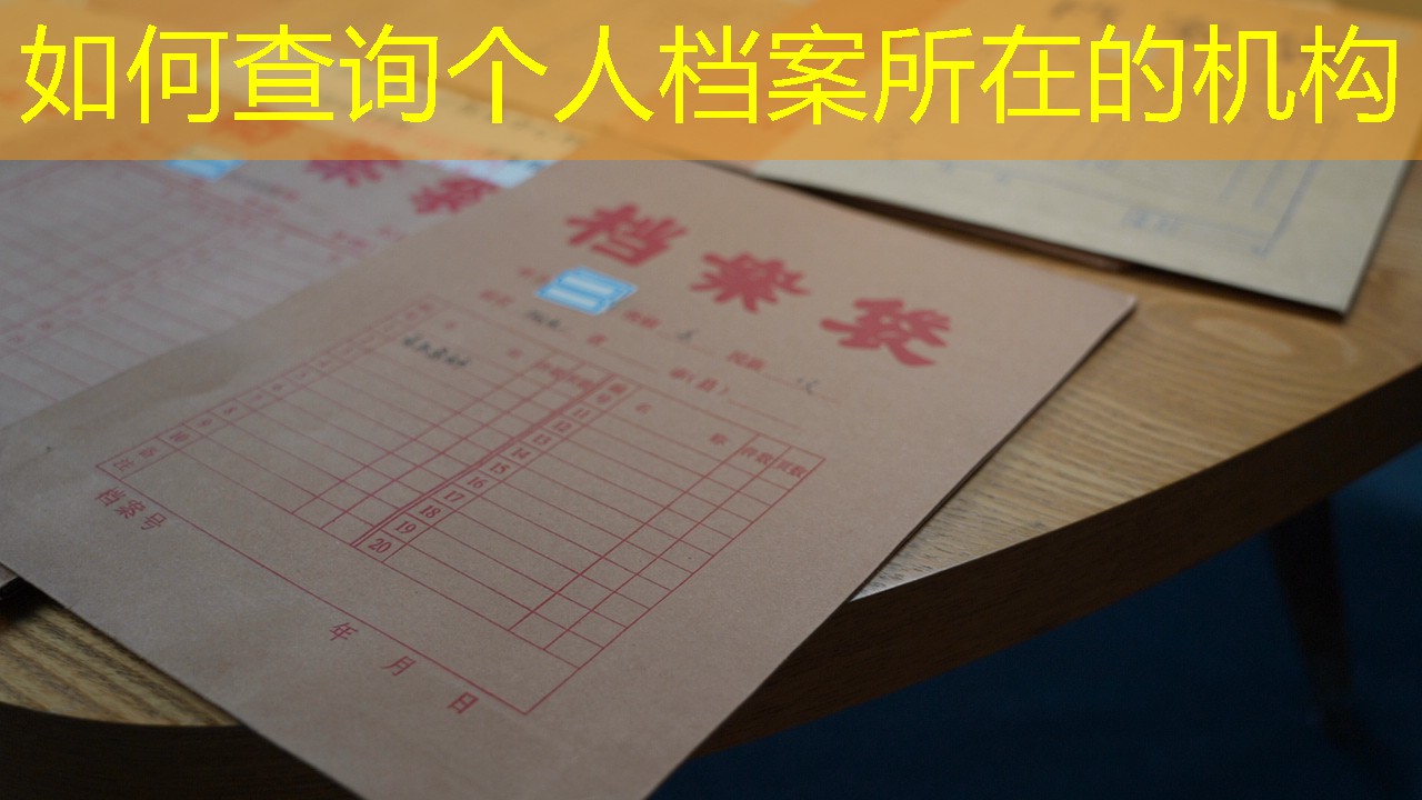 档案查询