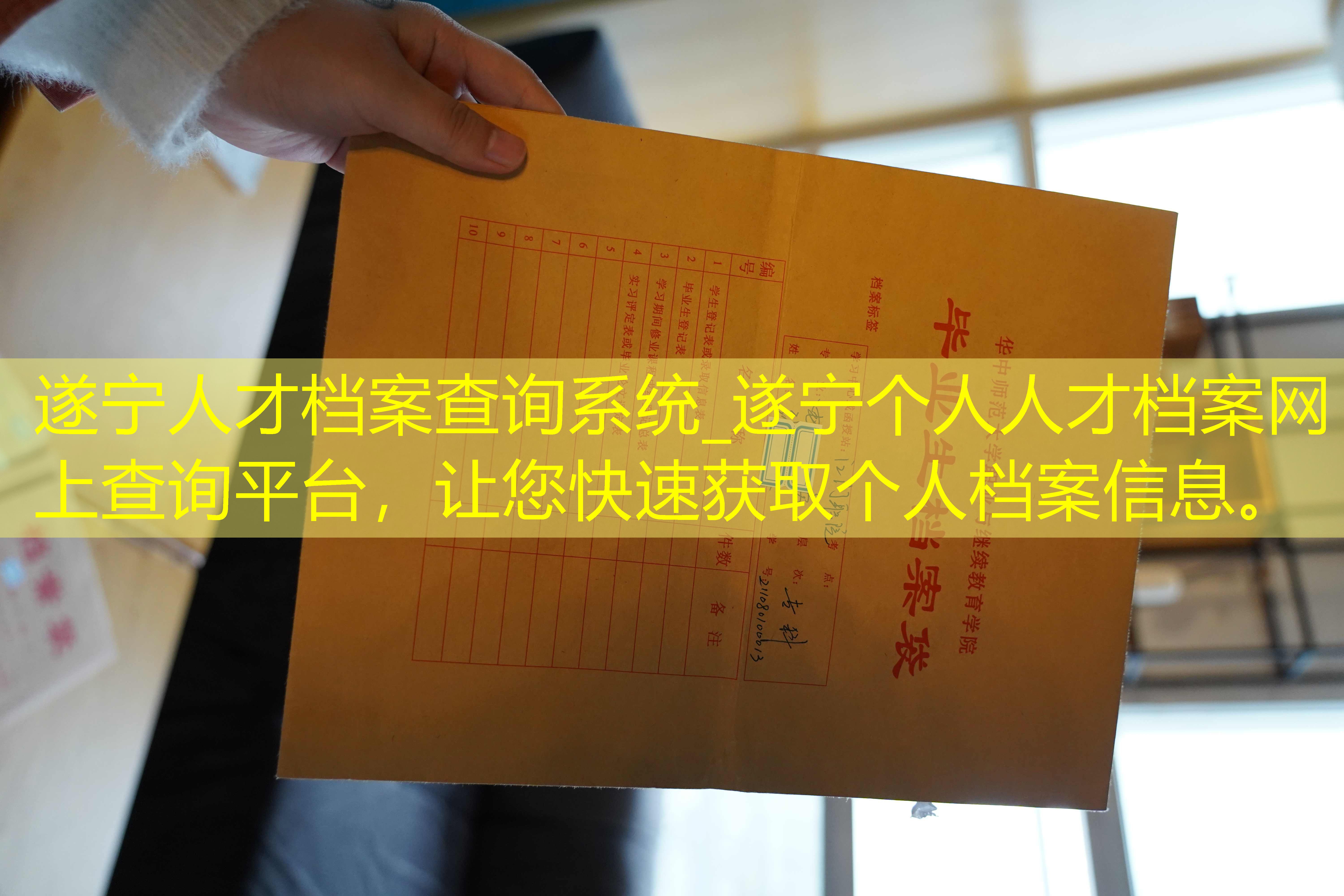 档案查询