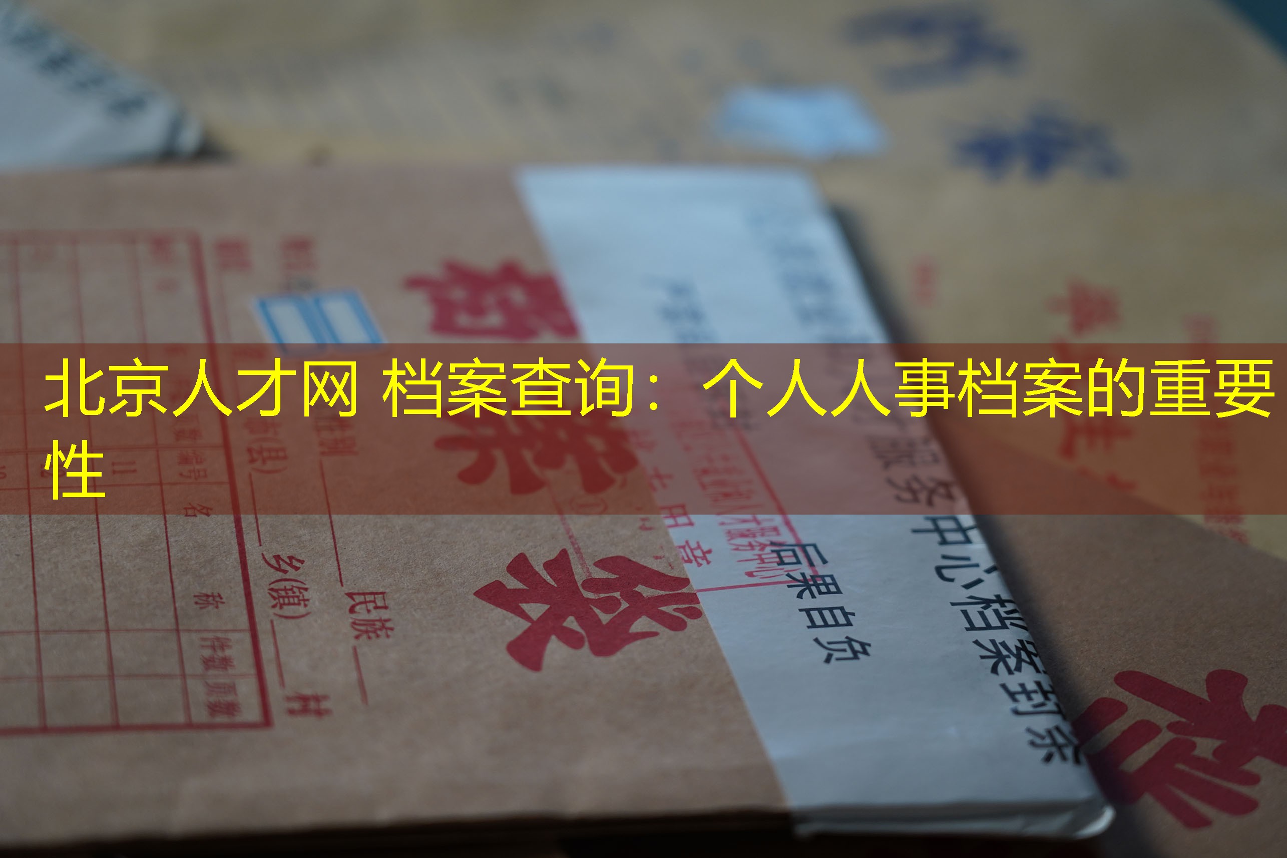 档案查询