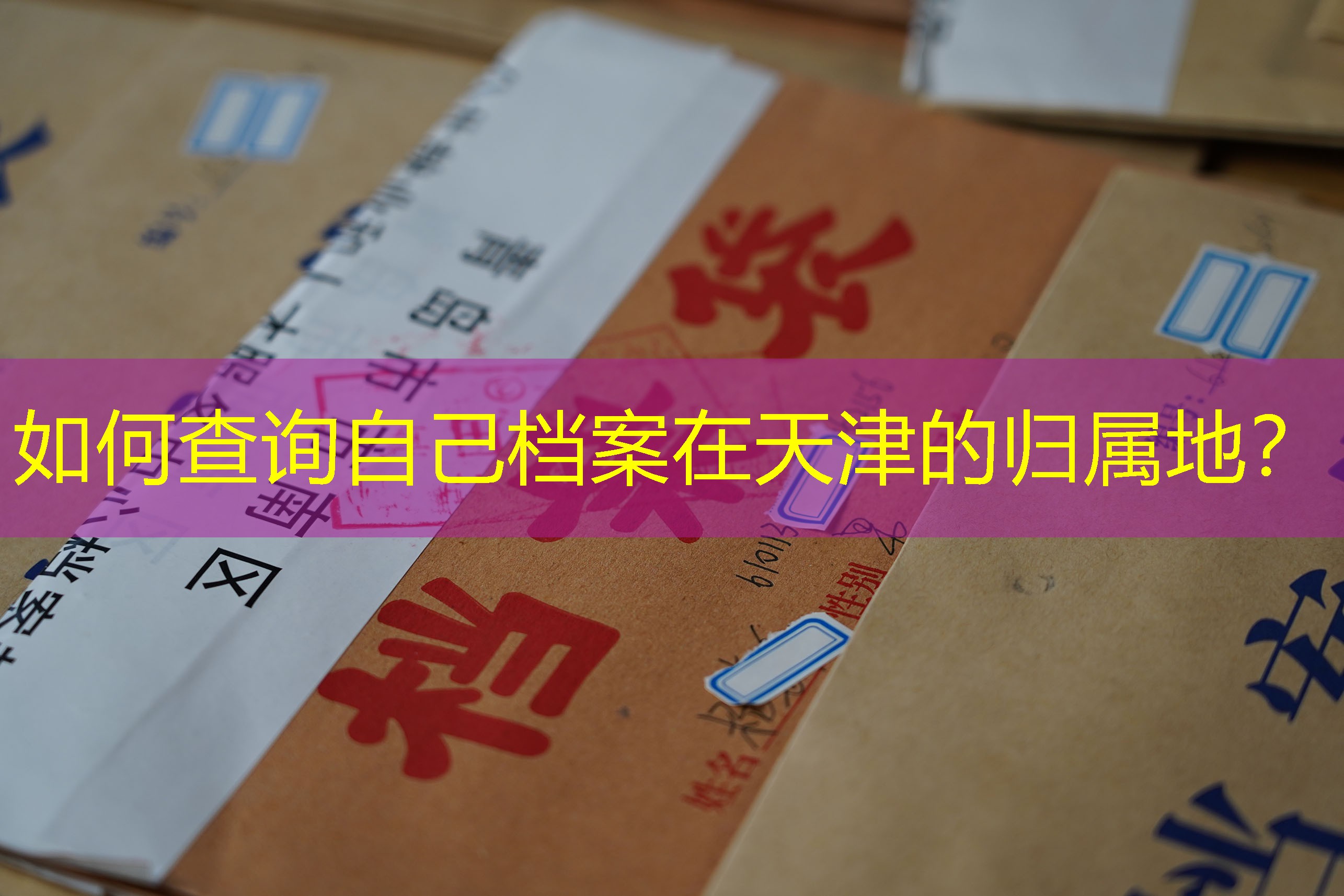 档案查询