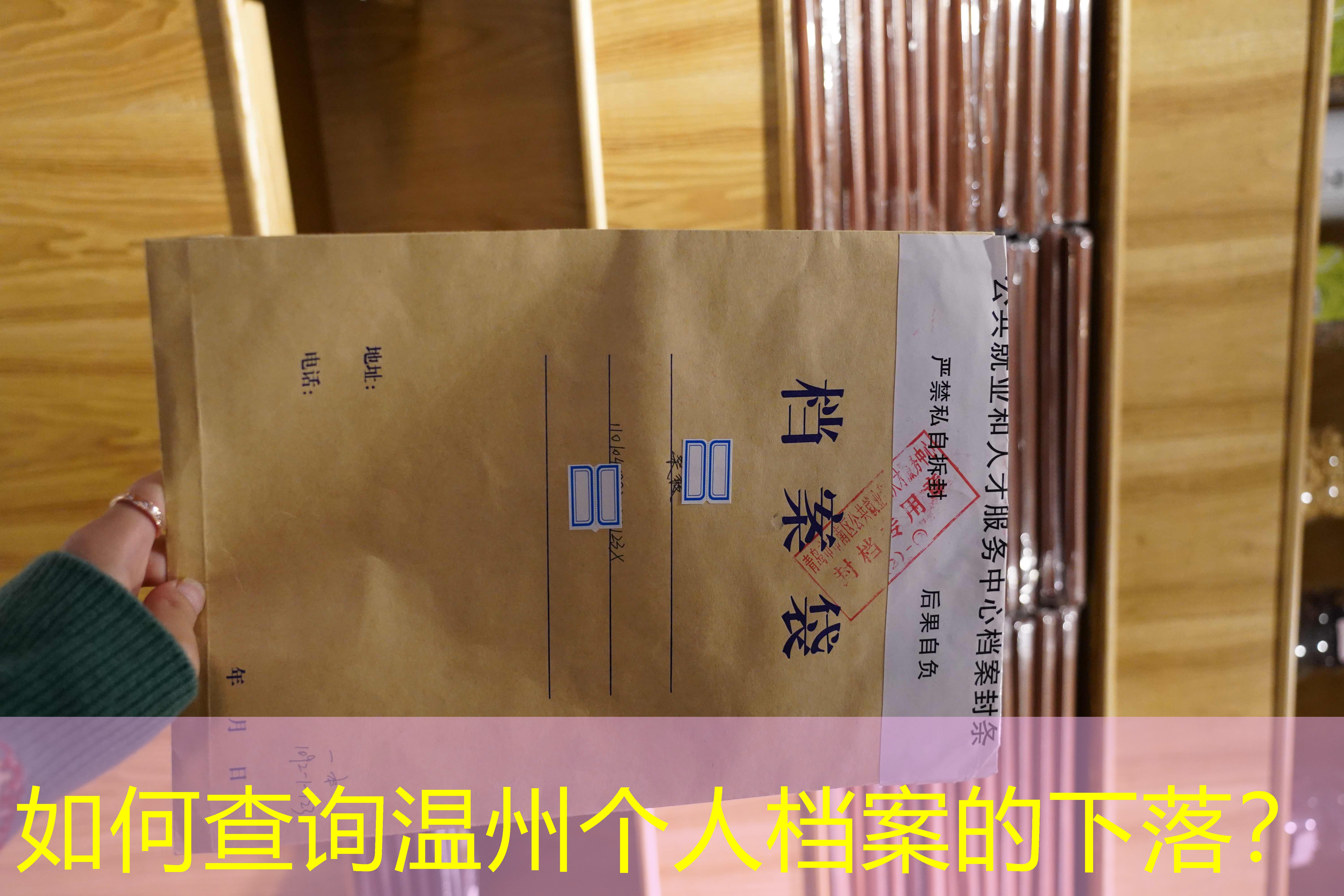 档案查询