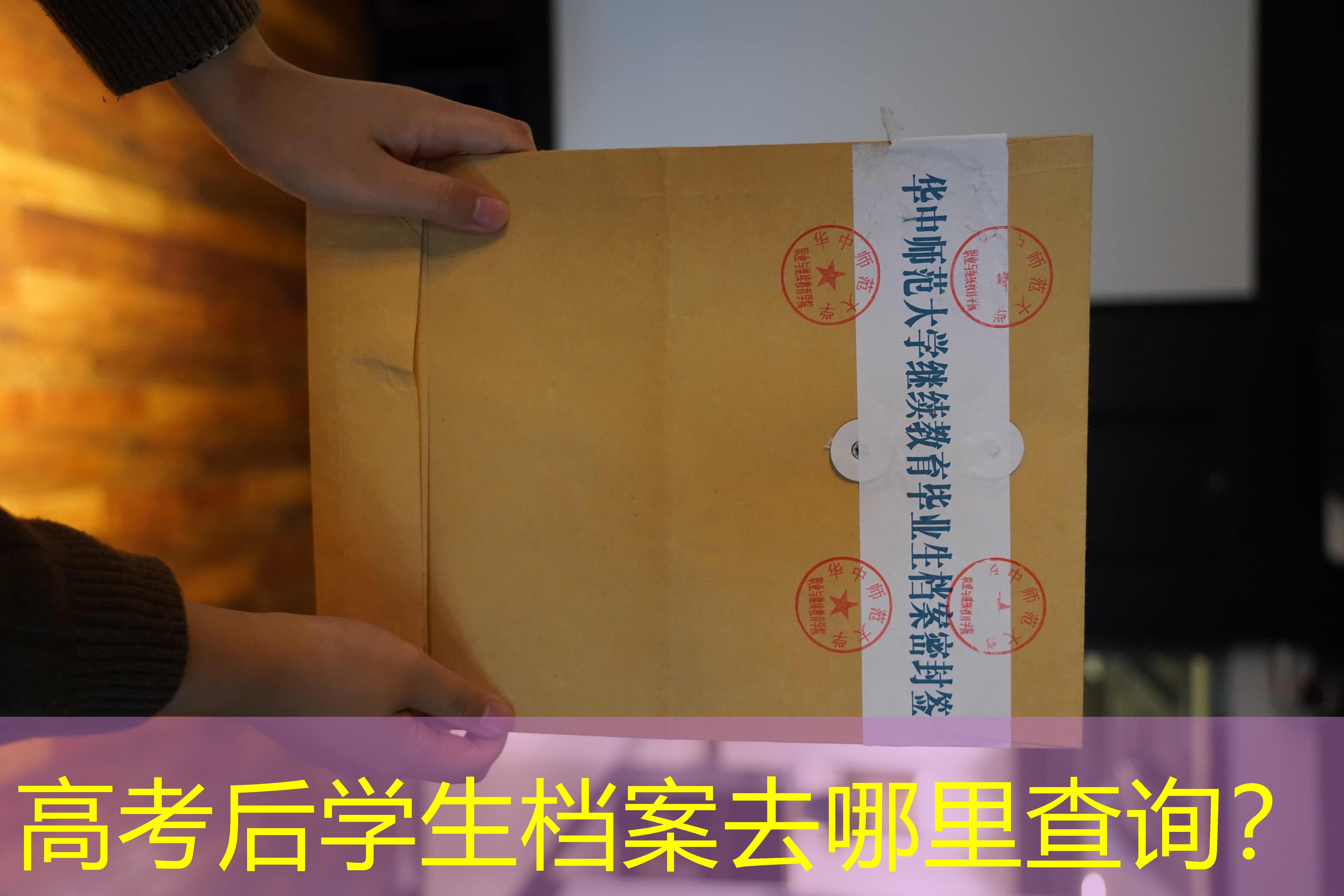 档案查询