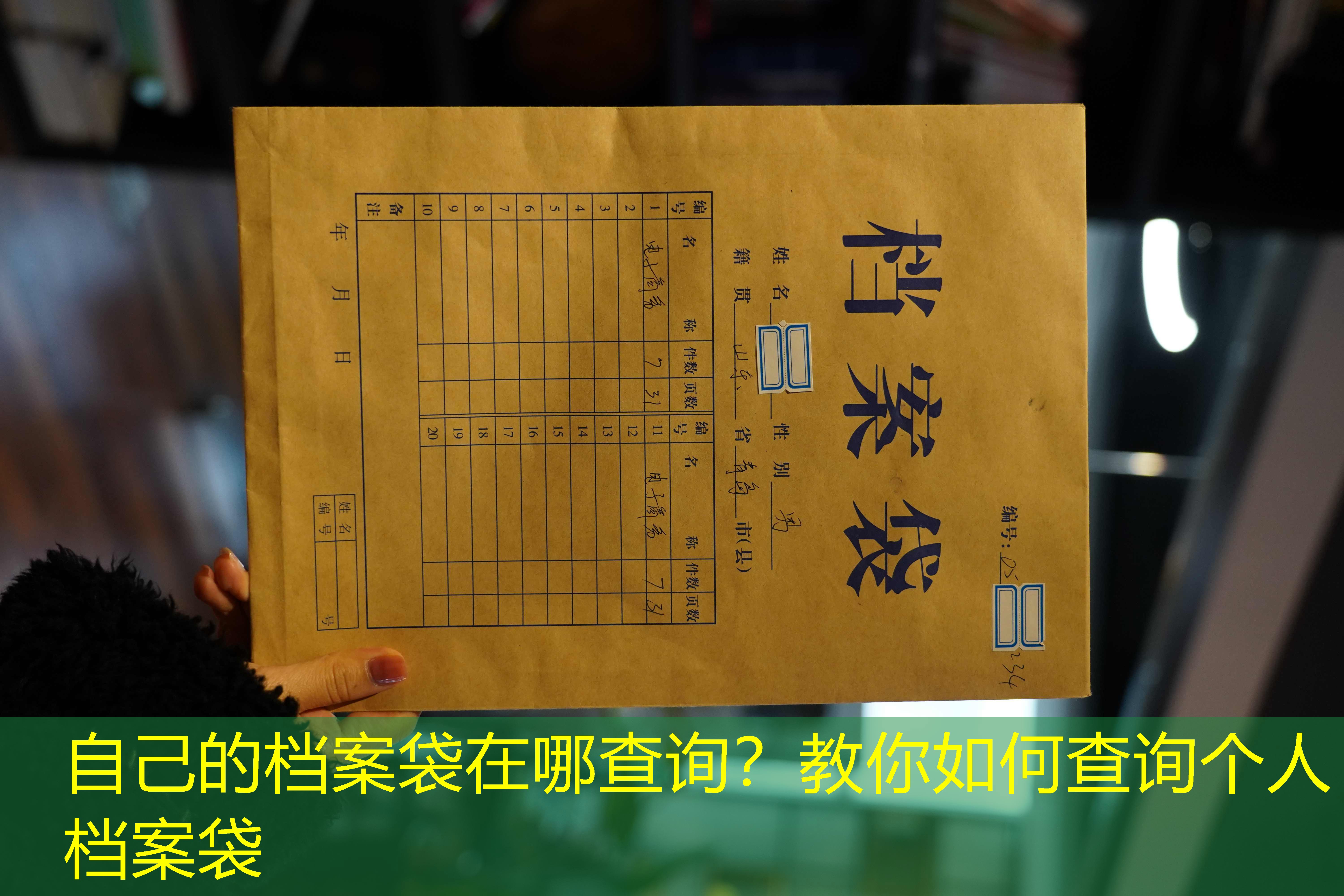档案查询