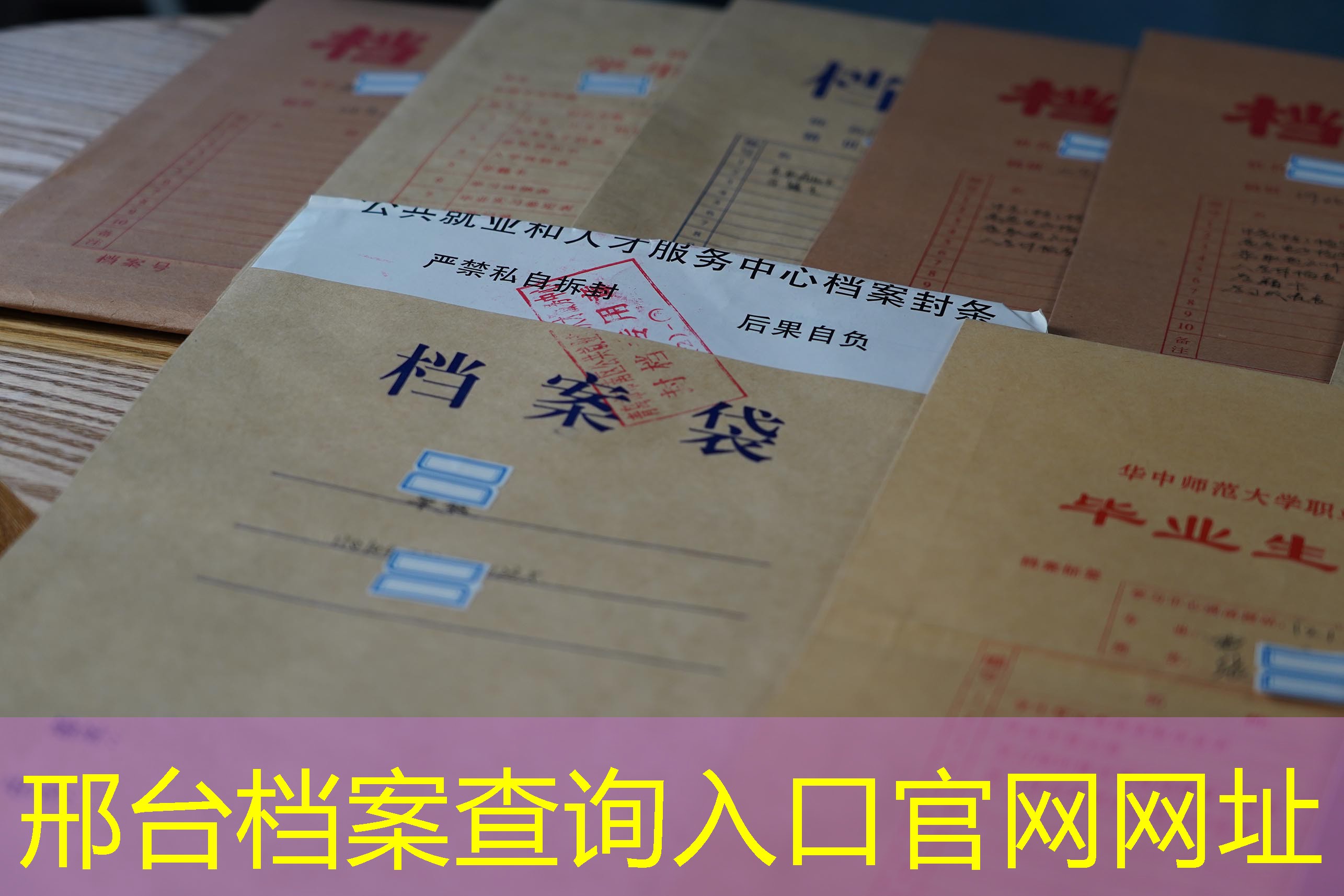 档案查询