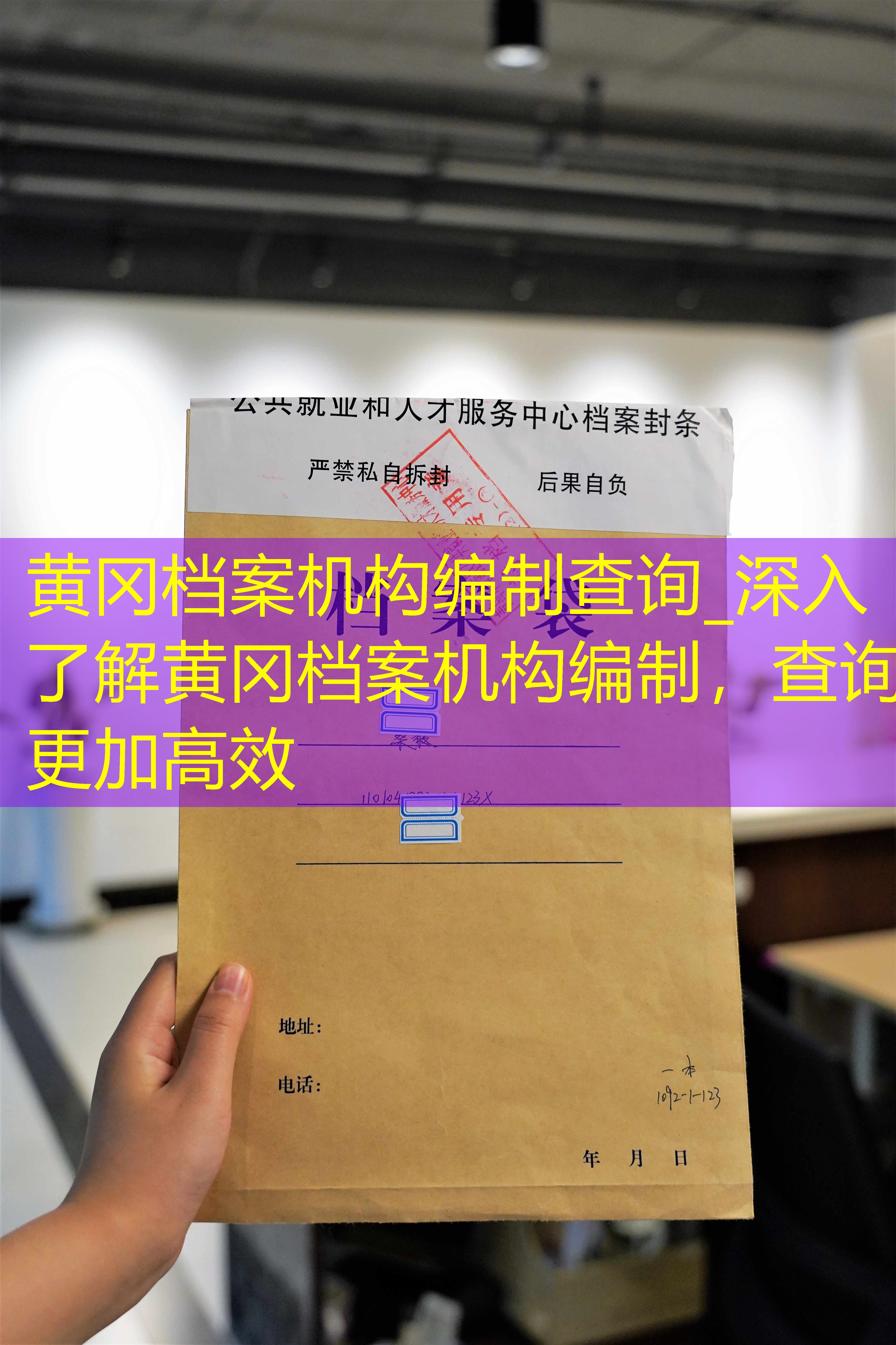 档案查询