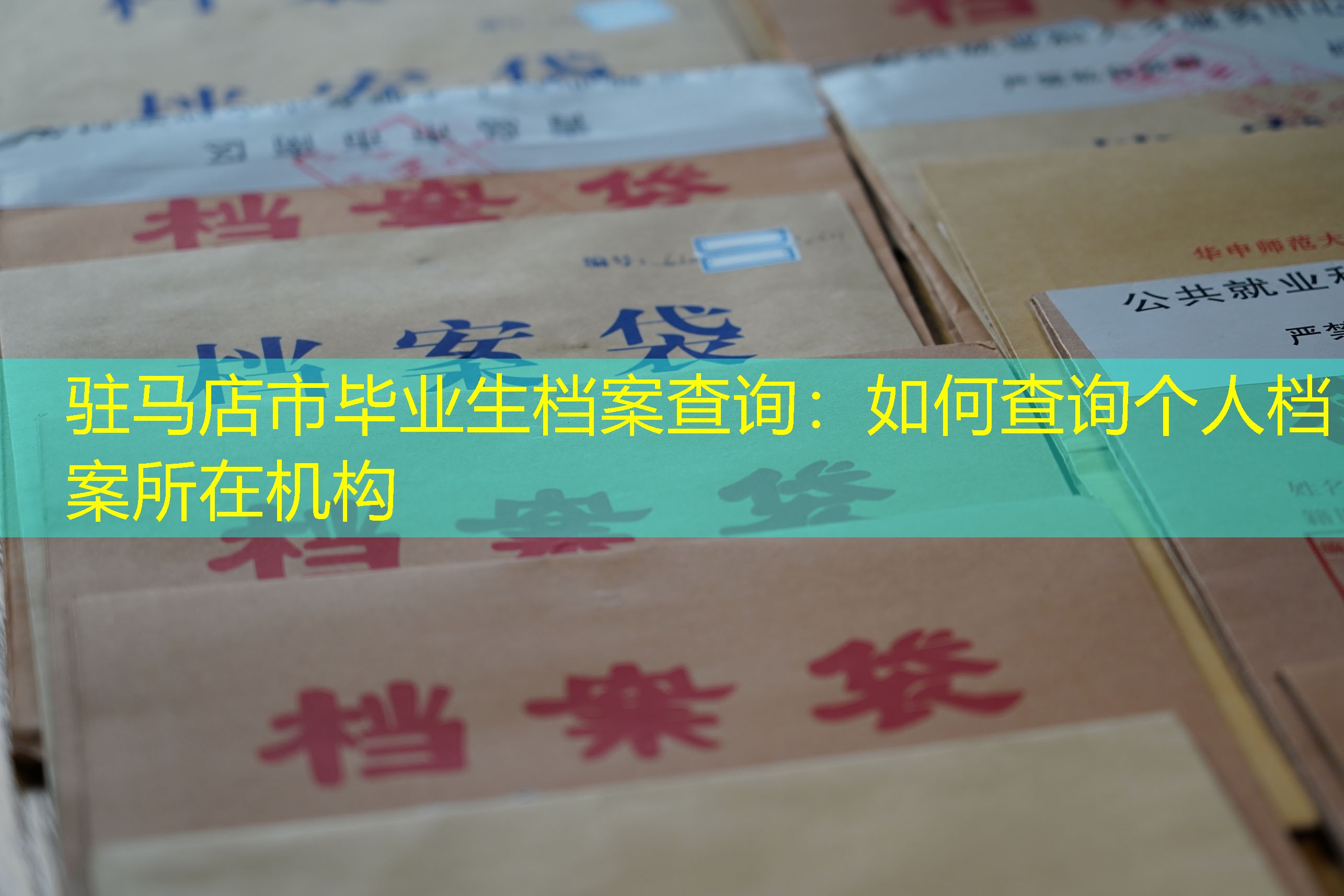 档案查询