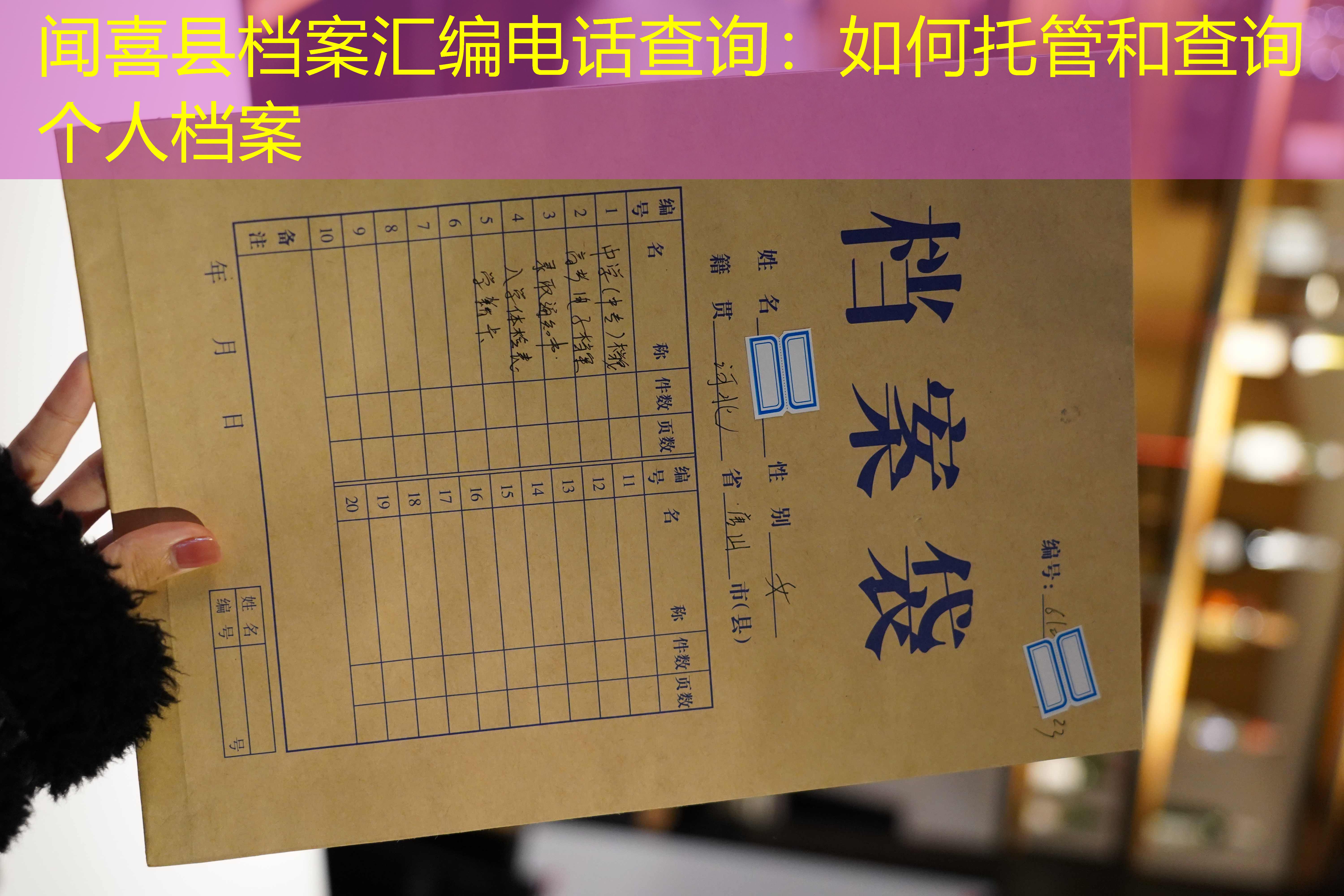 档案查询
