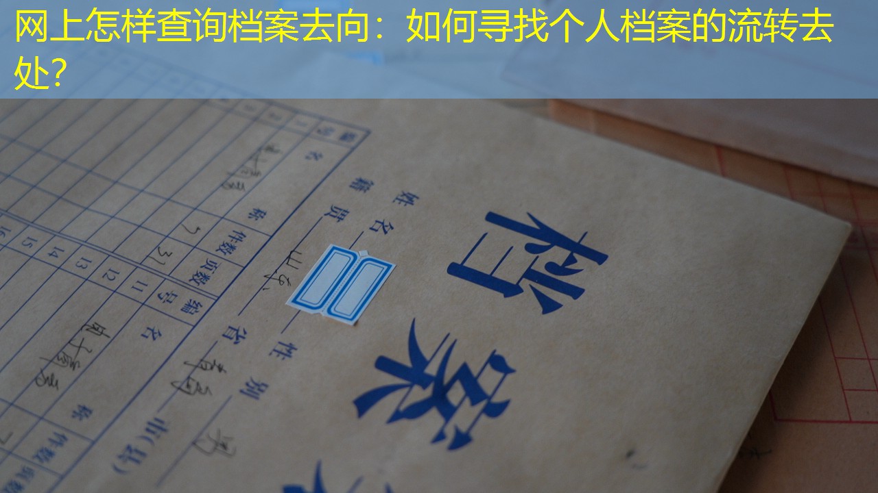 档案查询