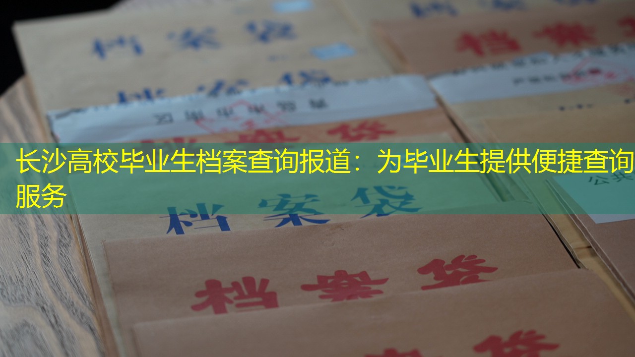 档案查询