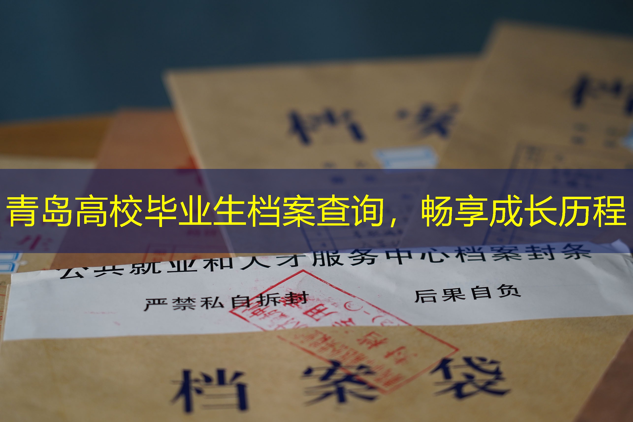 档案查询
