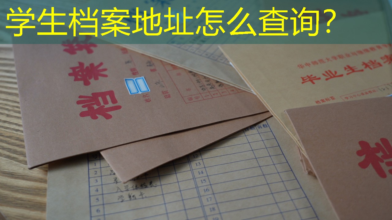 档案查询