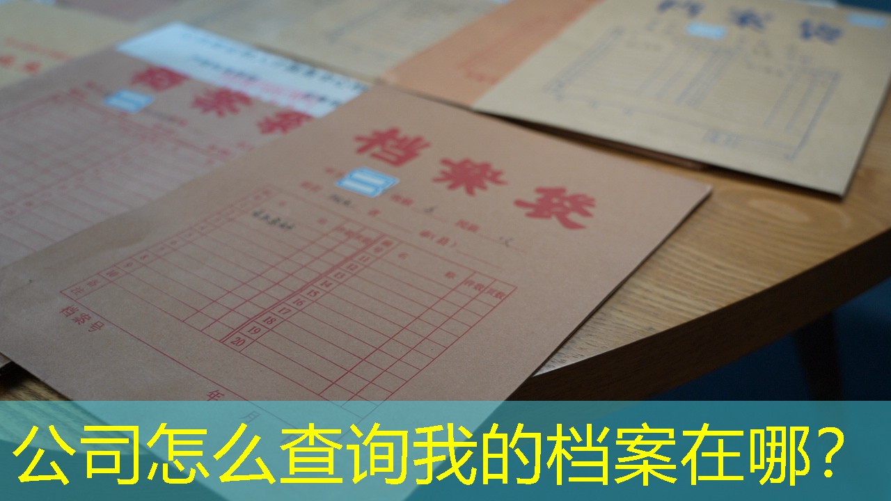 档案查询