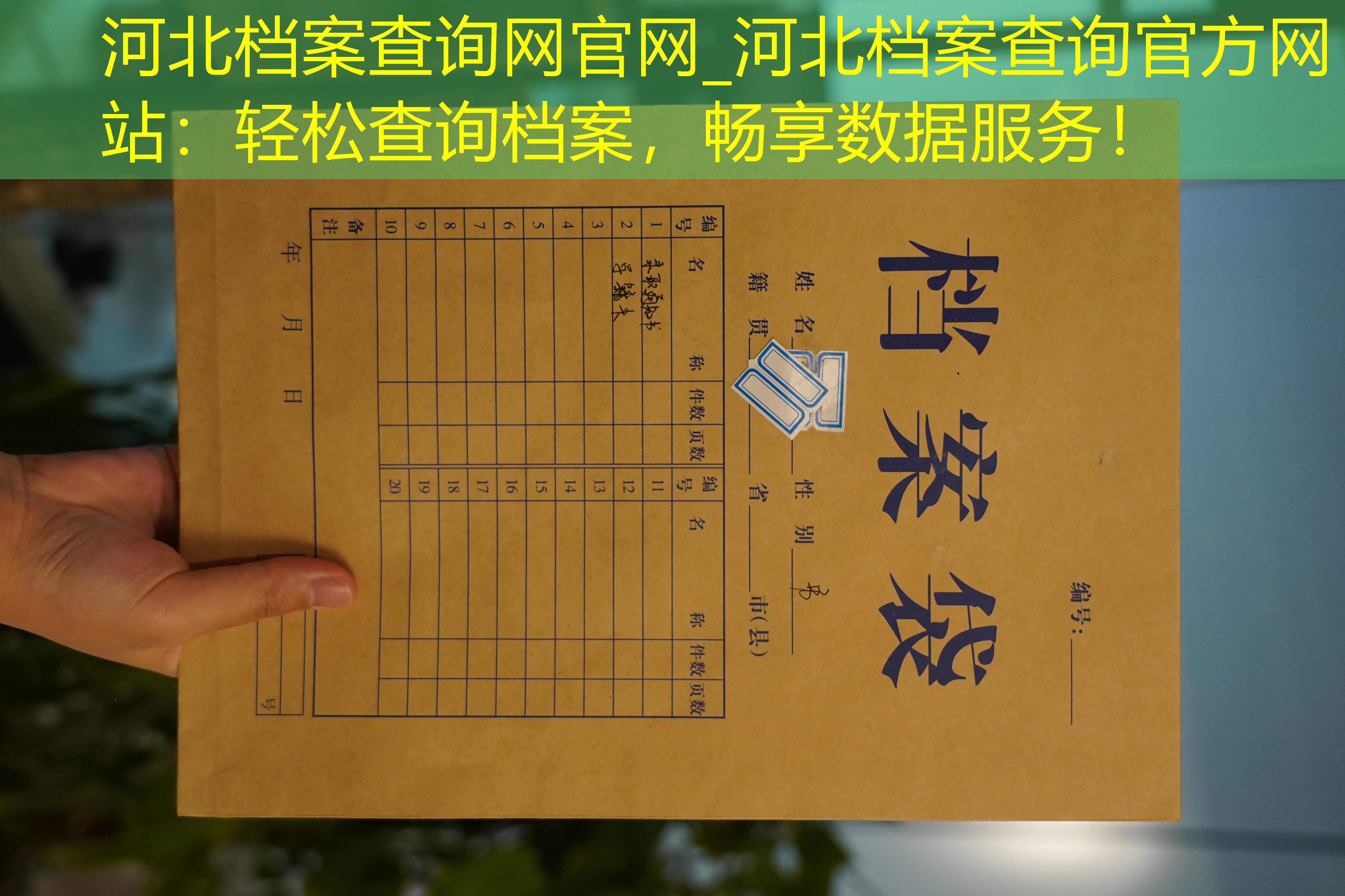 档案查询