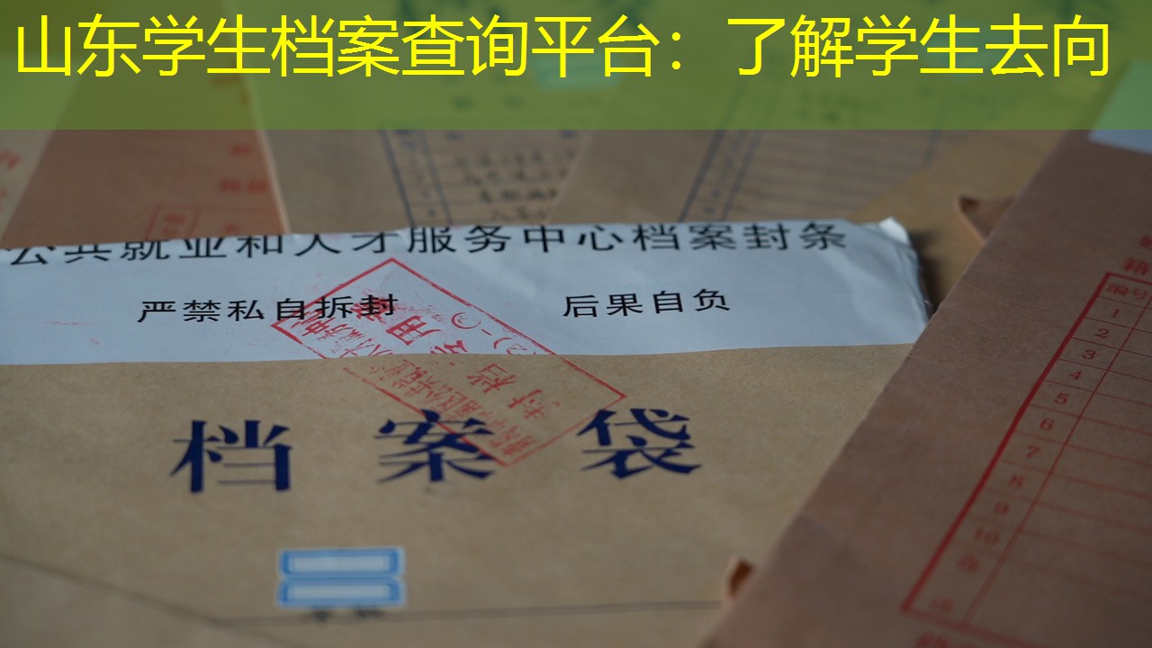 档案查询