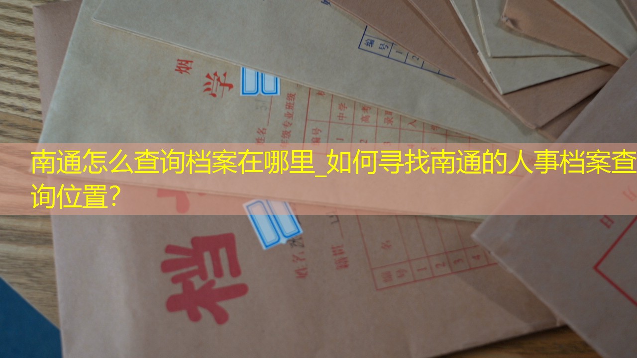 档案查询
