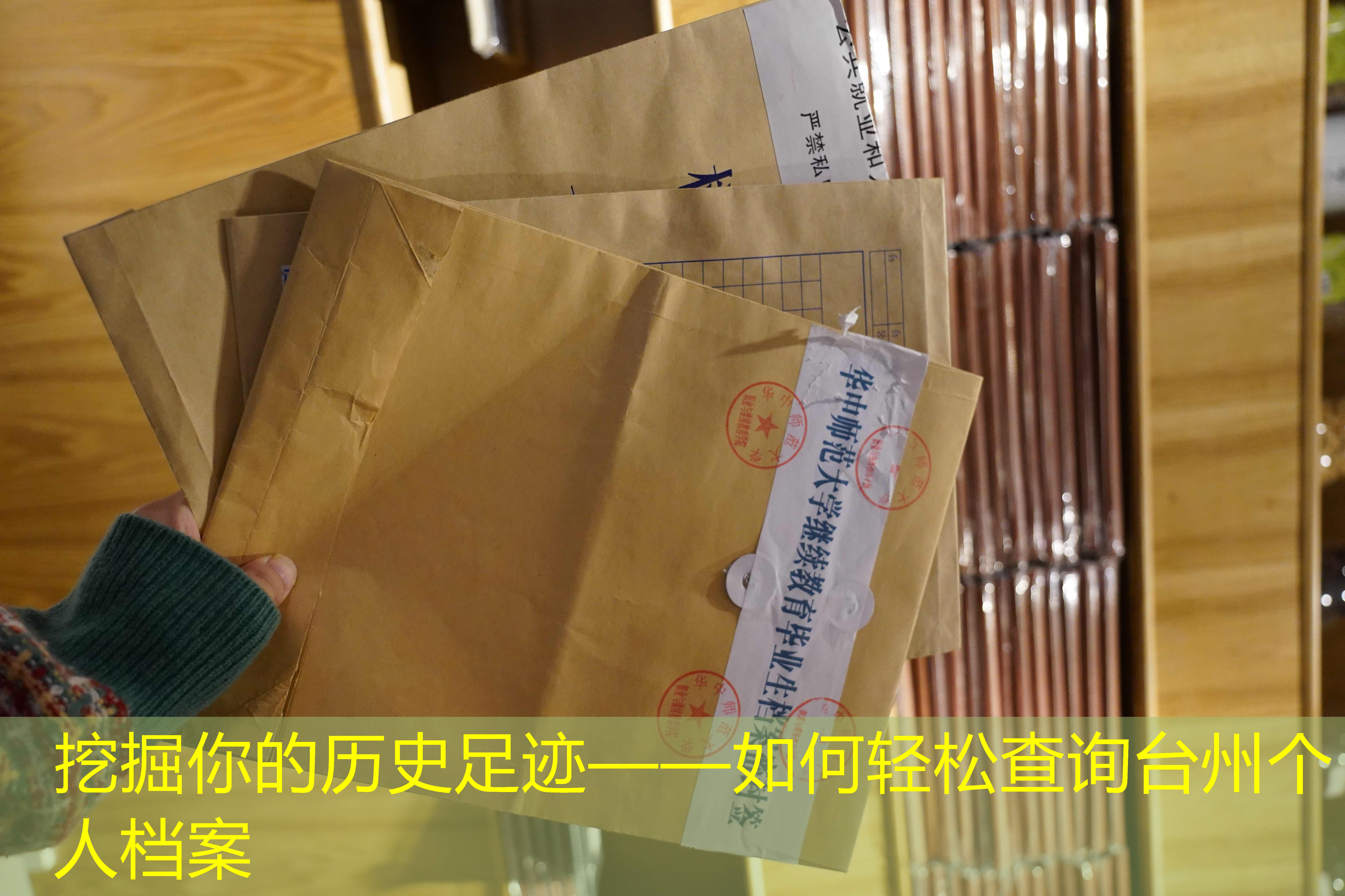 档案查询