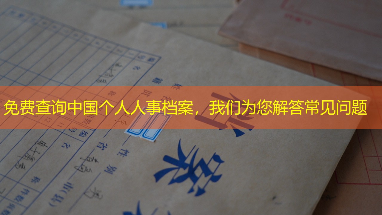 档案查询