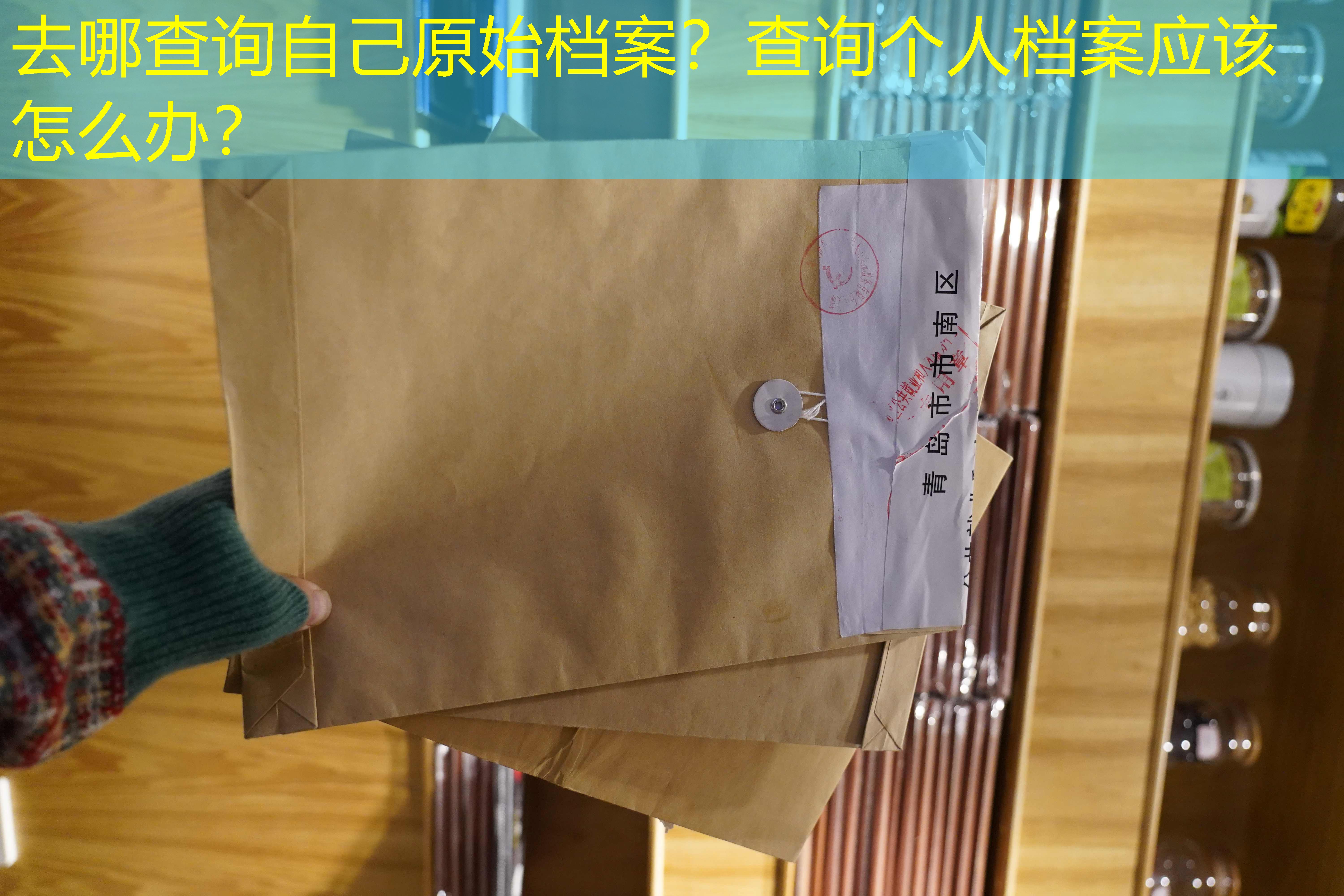 档案查询