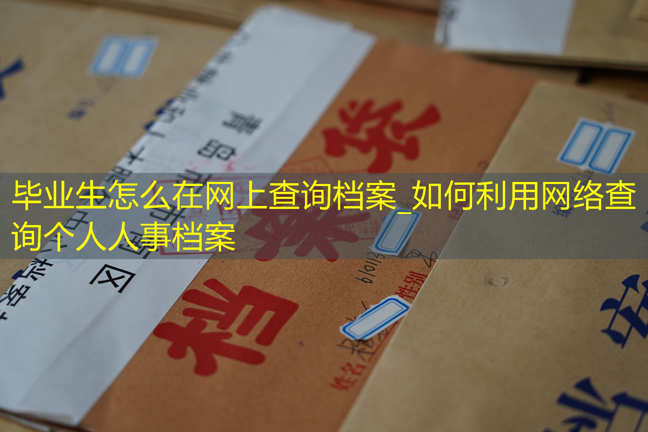 档案查询
