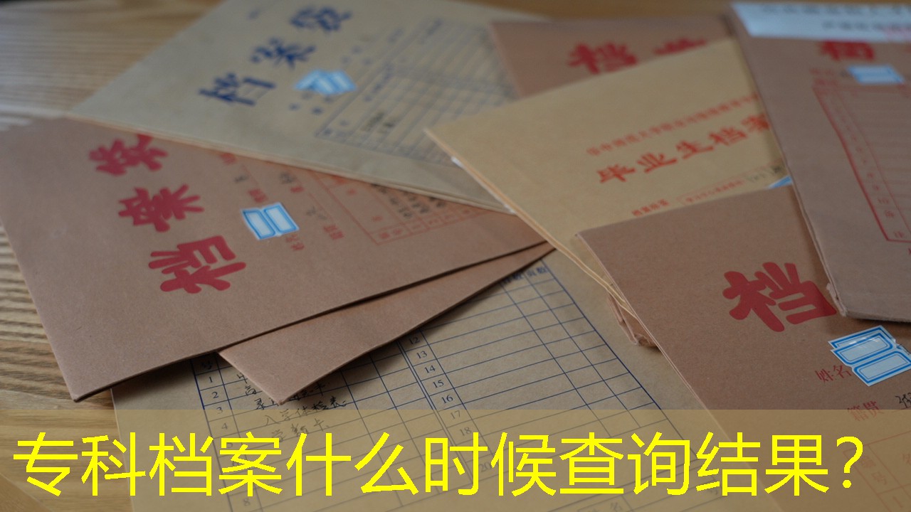 档案查询