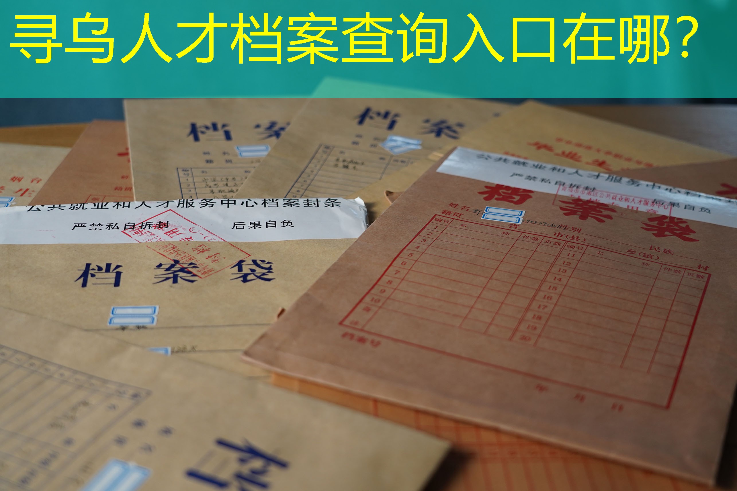 档案查询