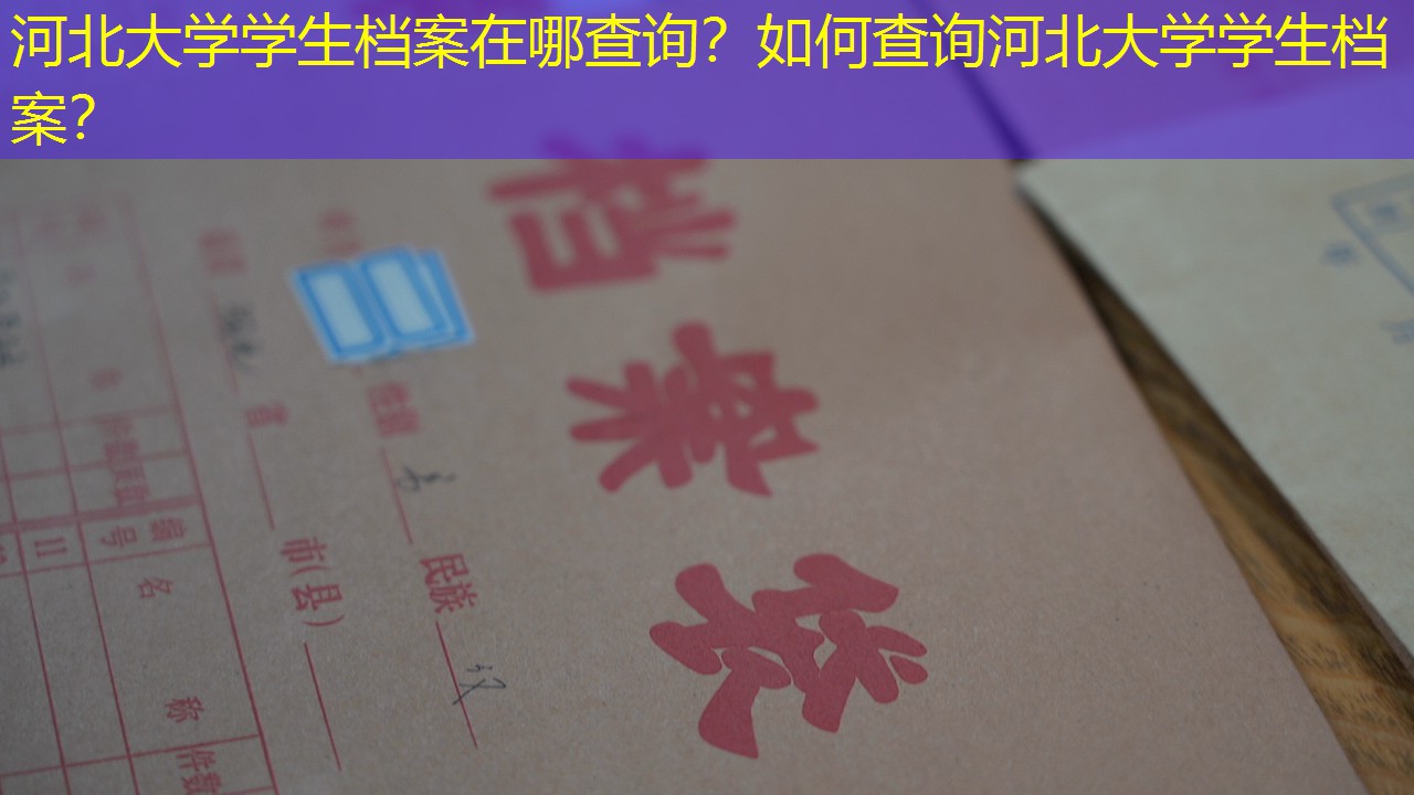 档案查询