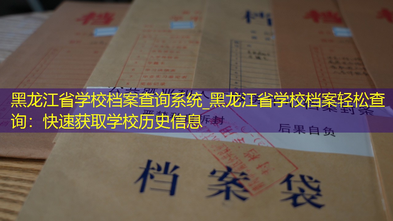 档案查询