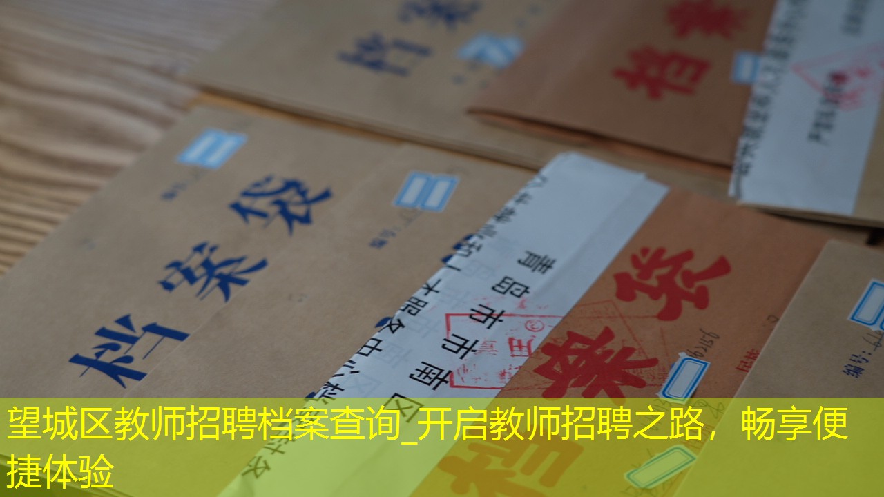 档案查询
