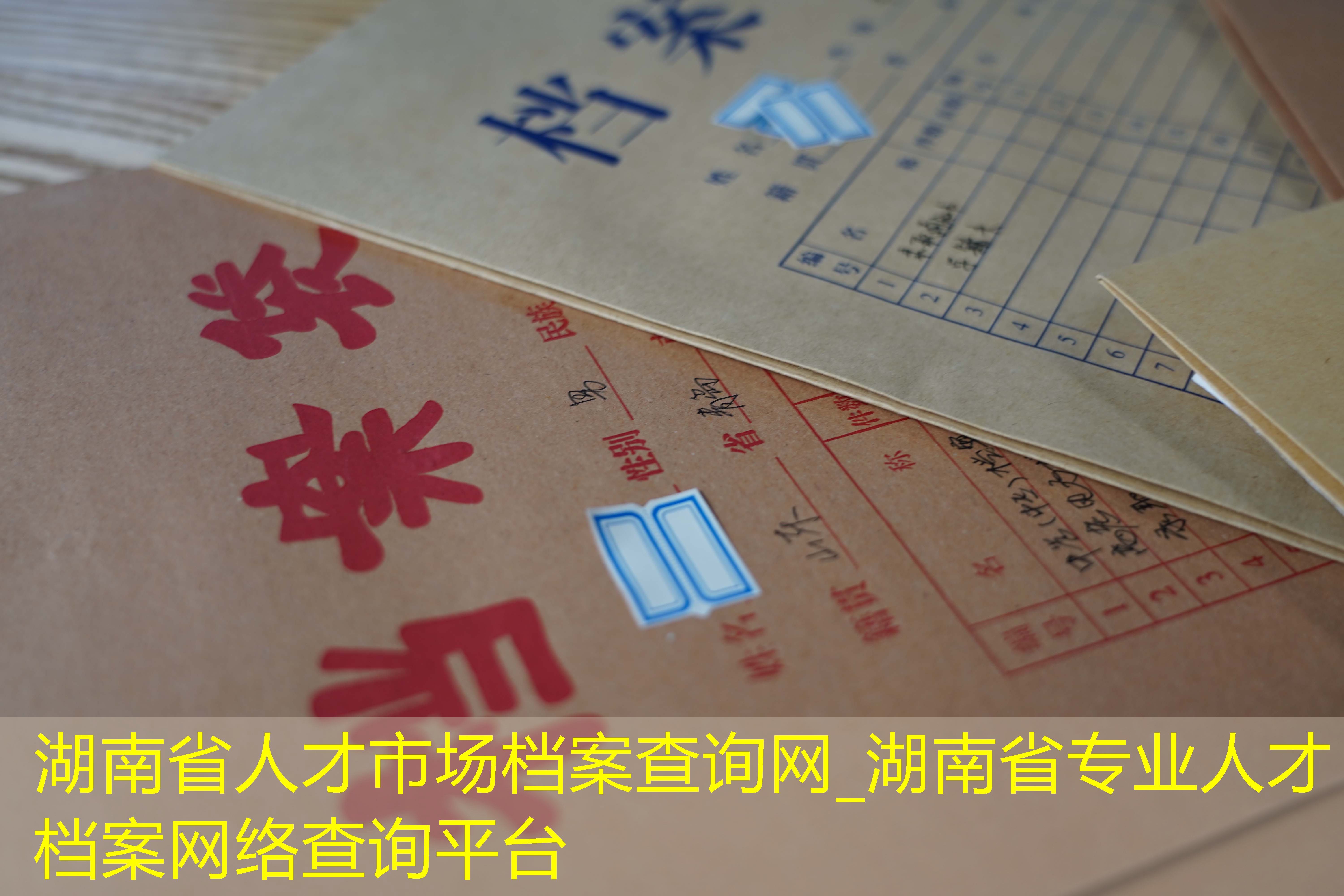 档案查询