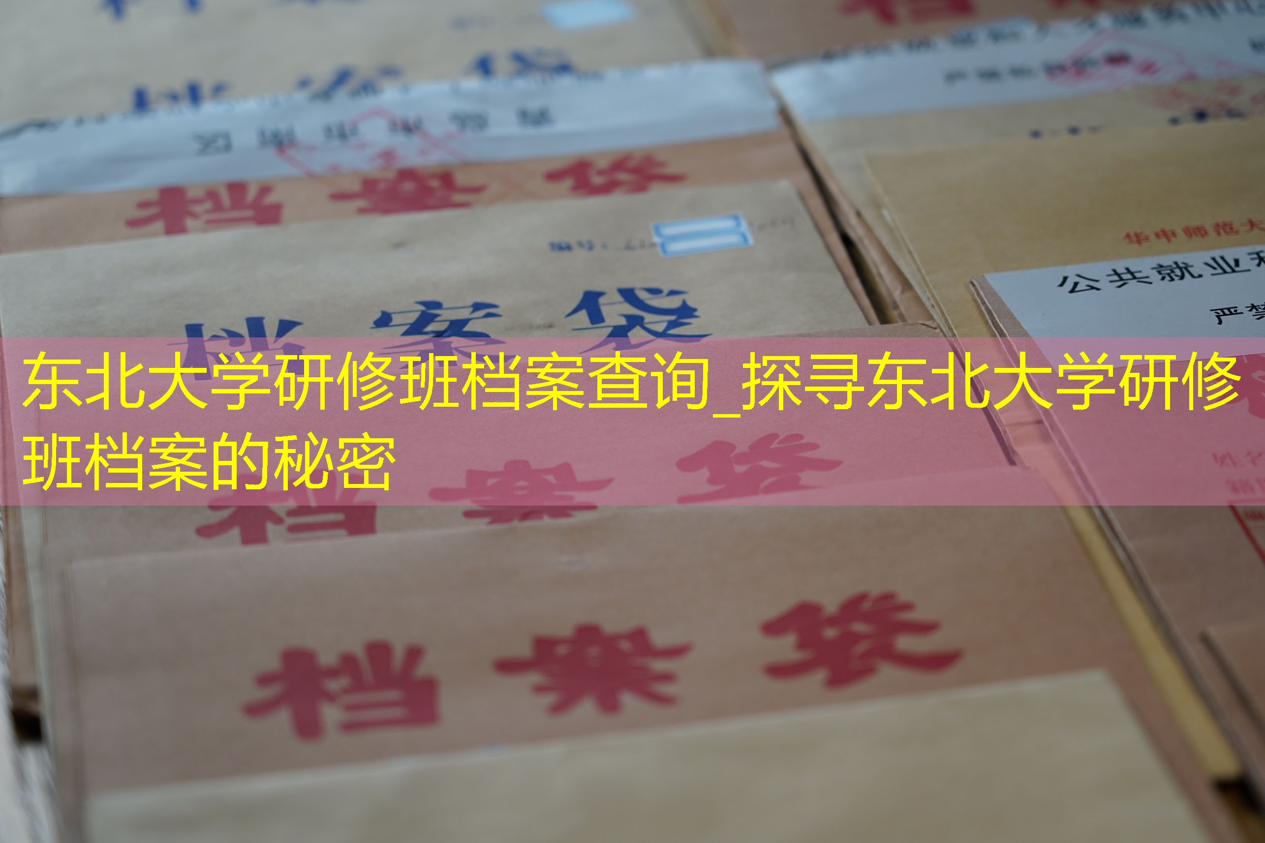 档案查询