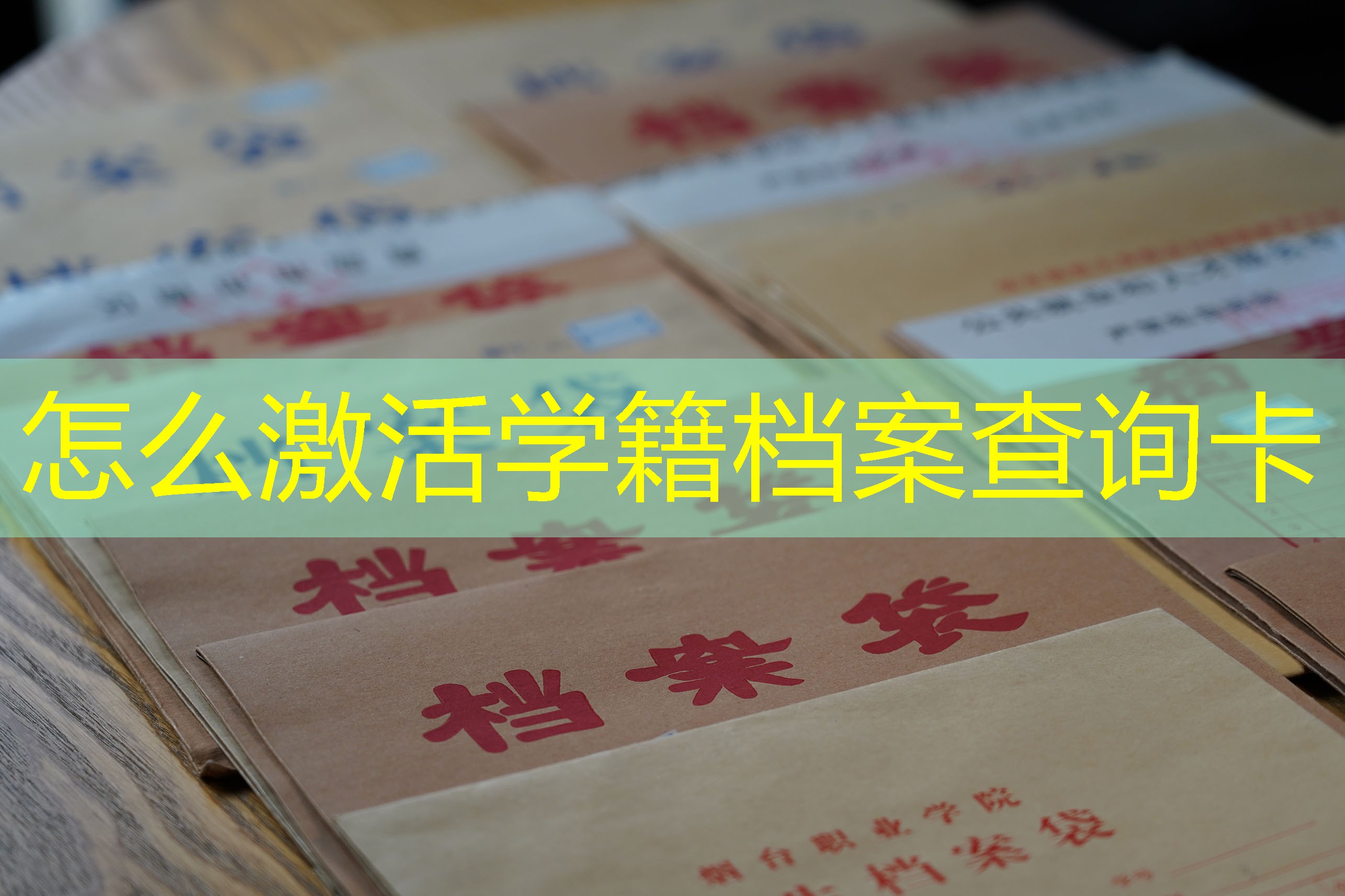 档案查询