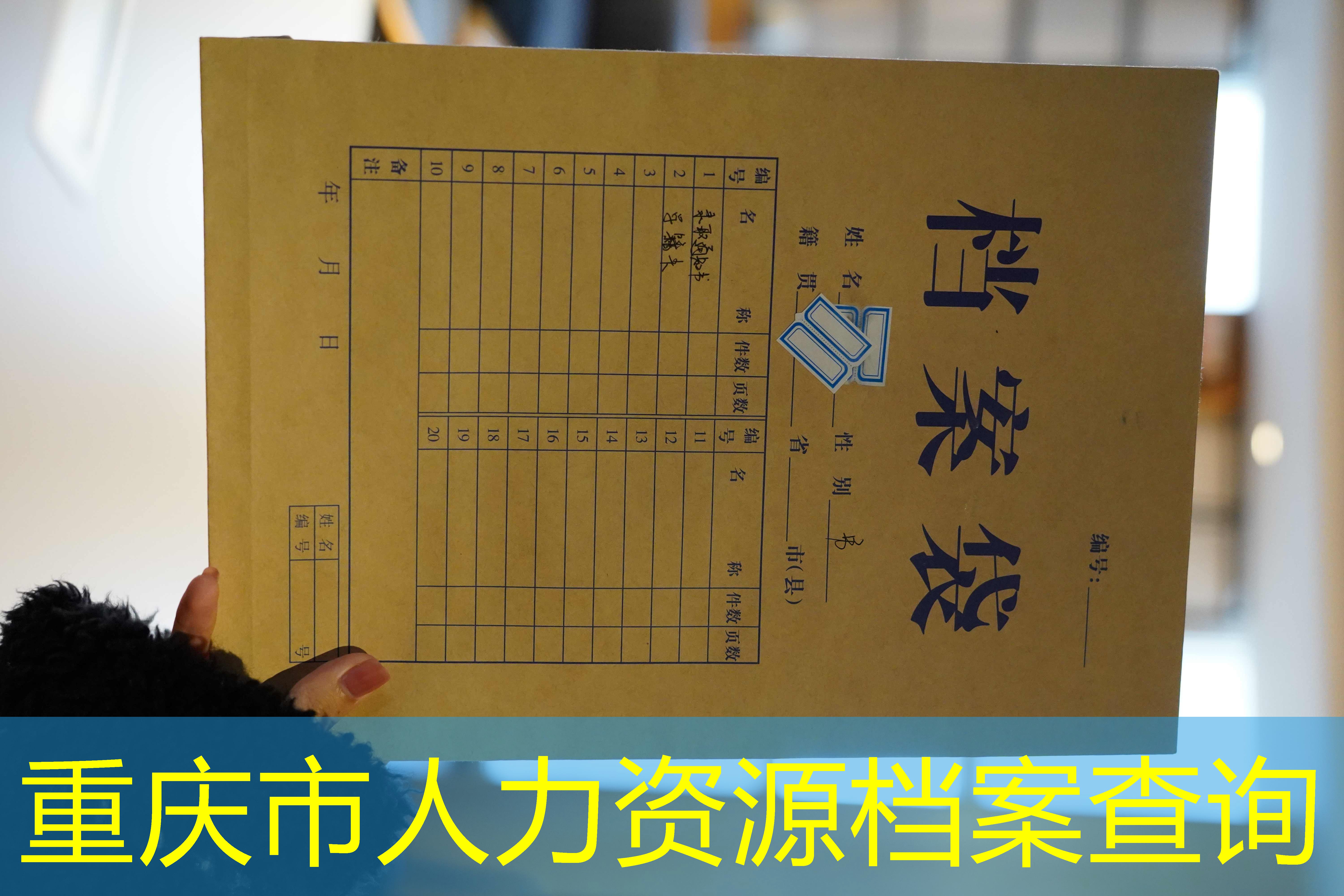 档案查询