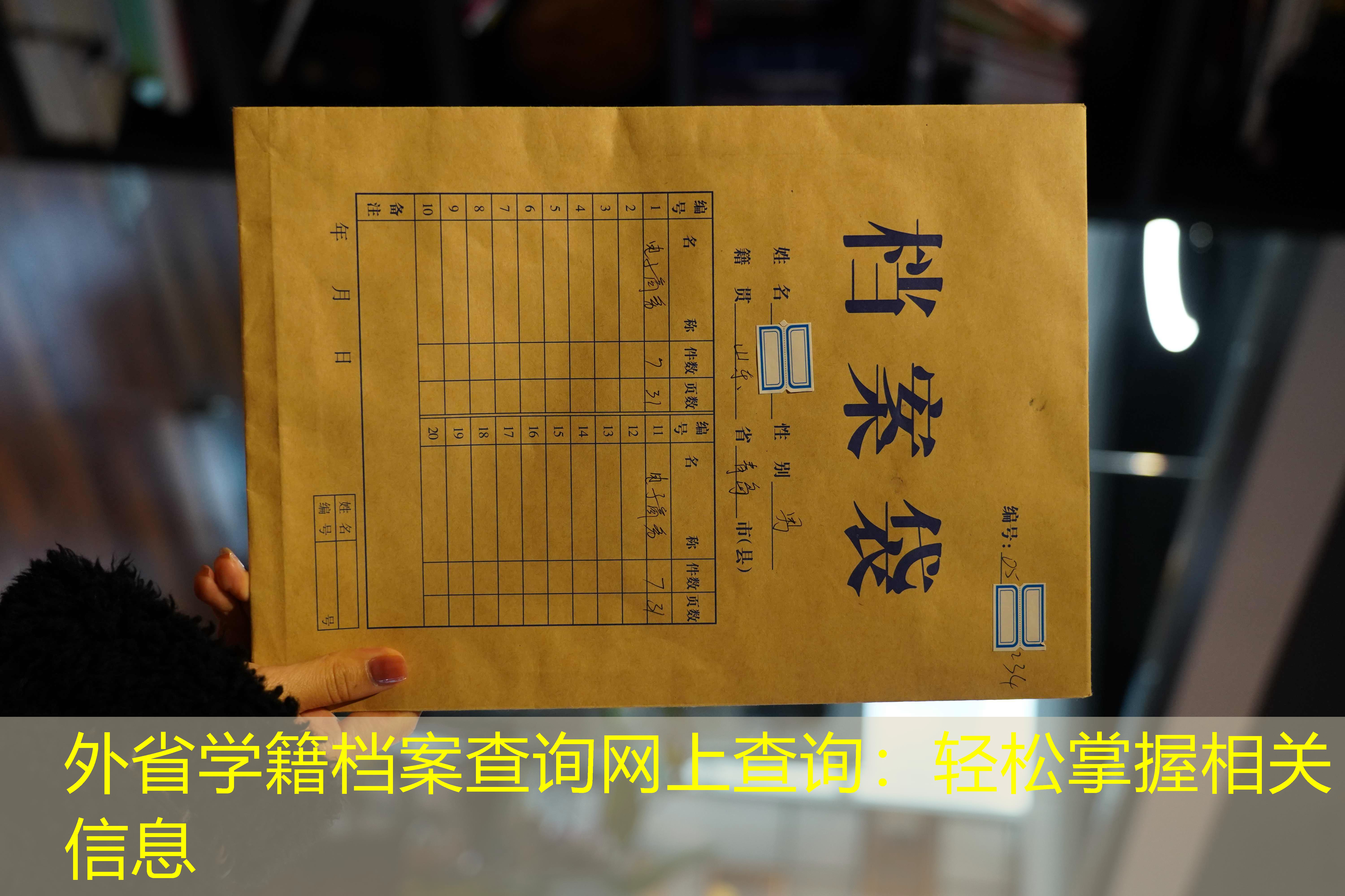 档案查询