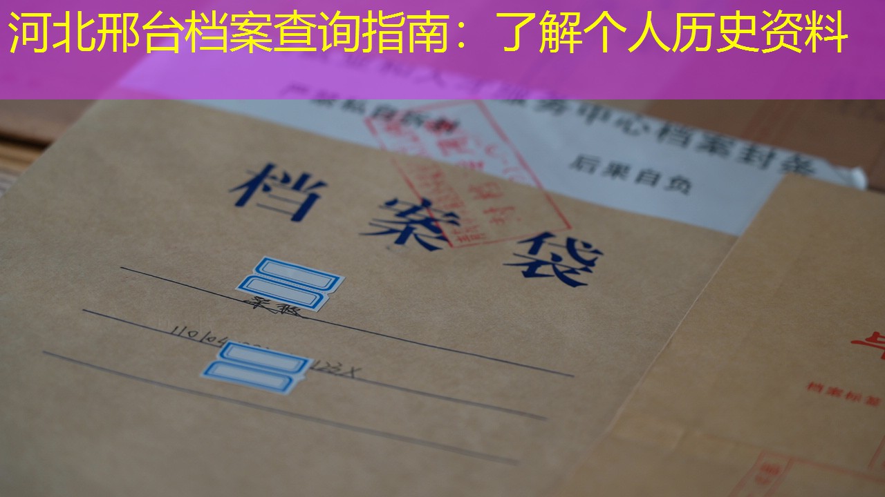 档案查询