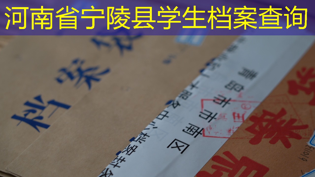 档案查询