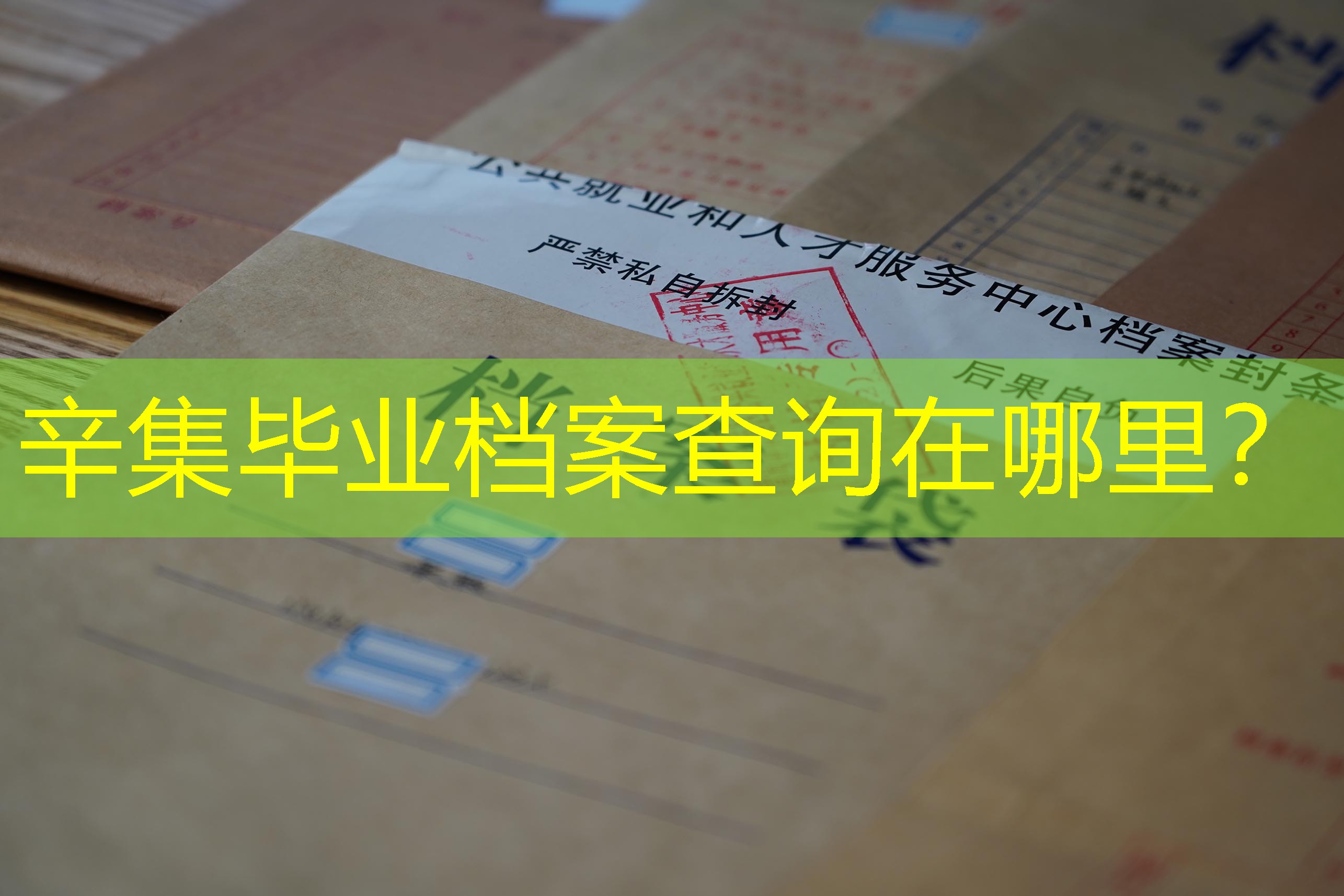 档案查询