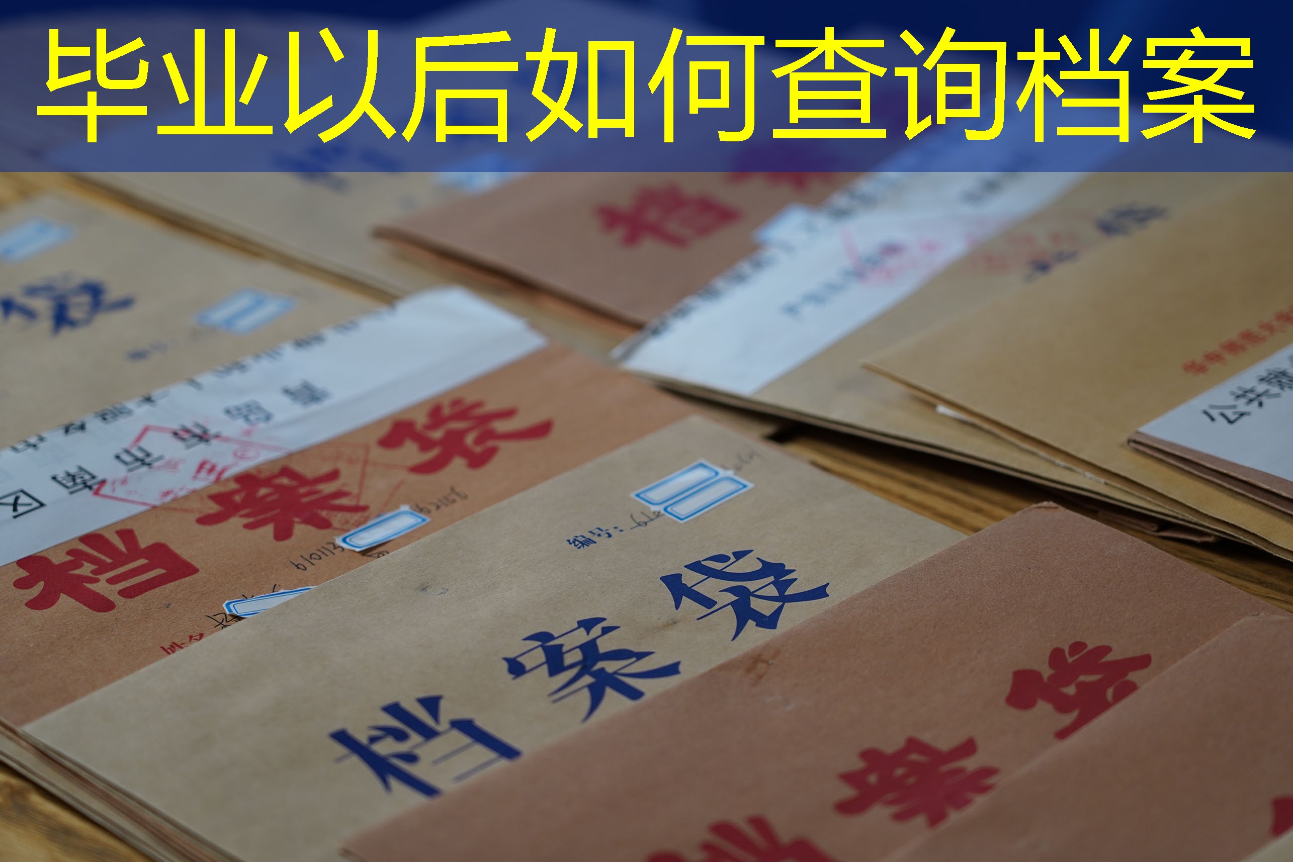 档案查询