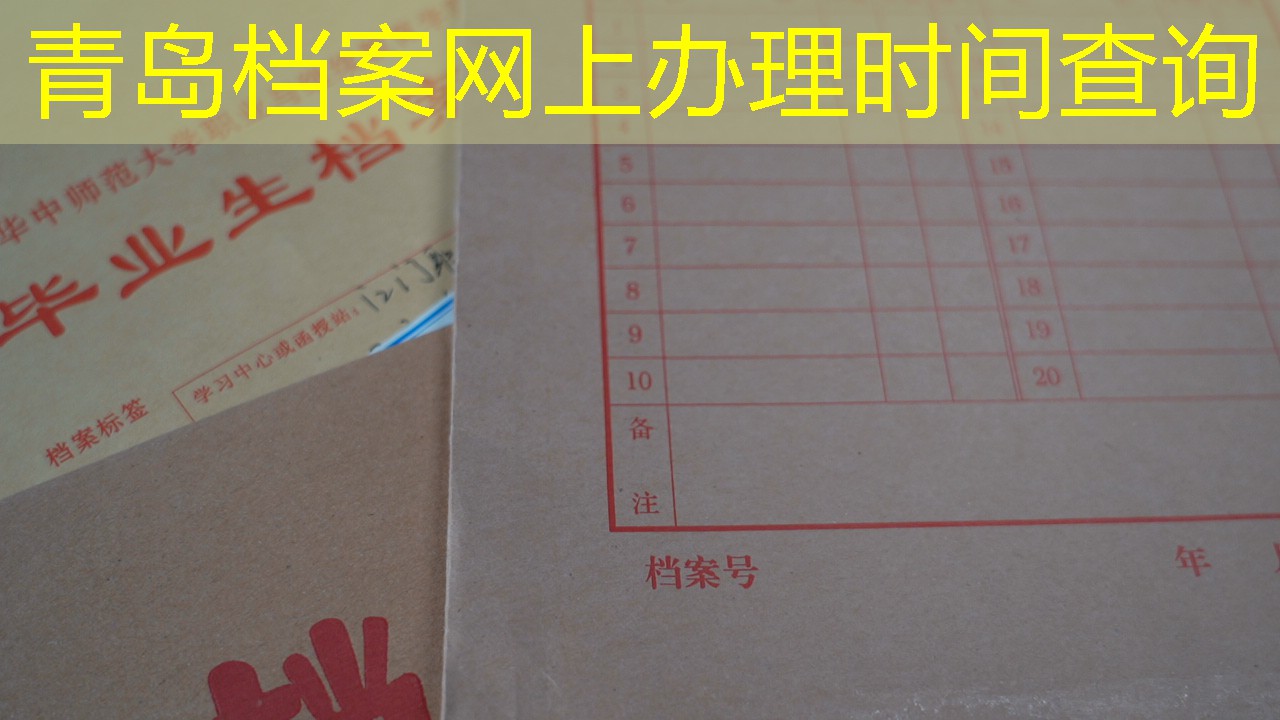档案查询
