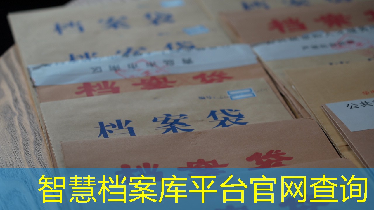 档案查询