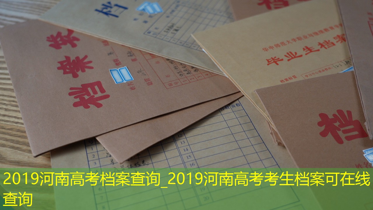 档案查询