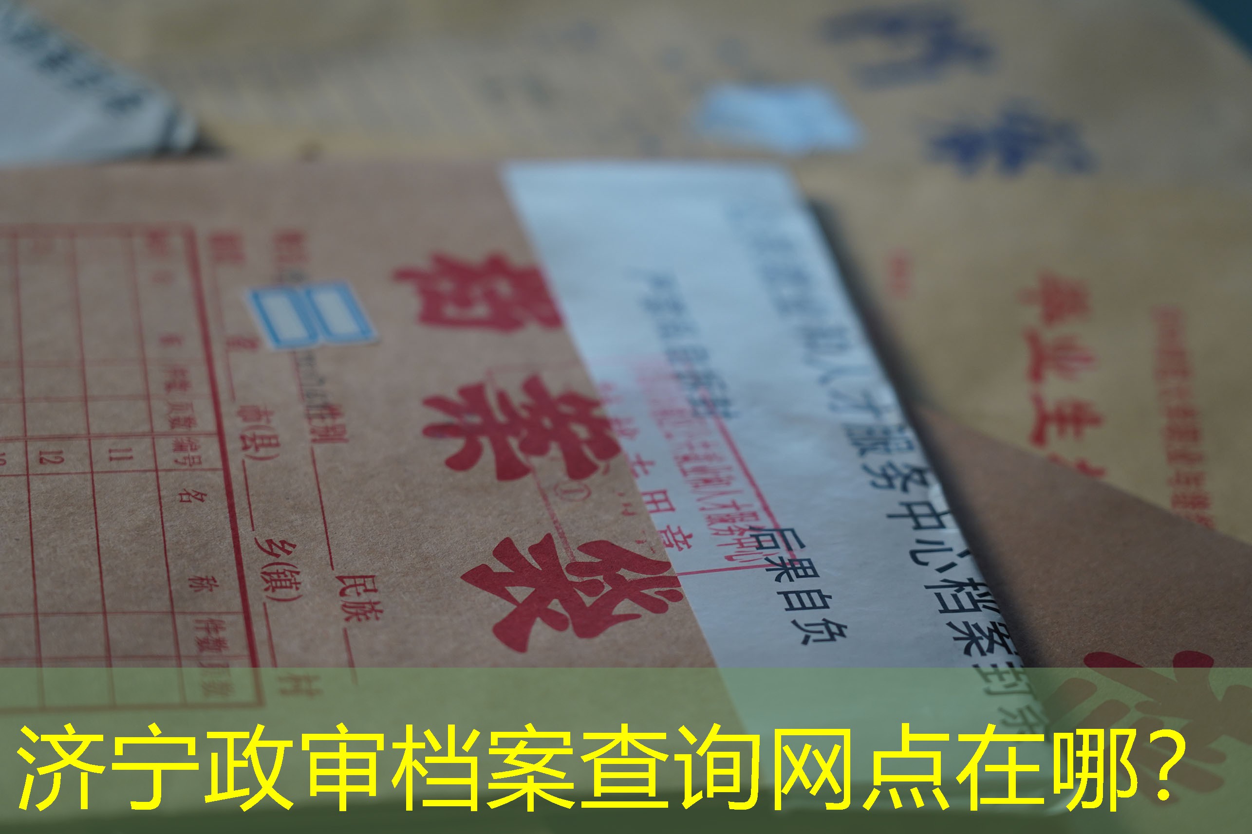 档案查询