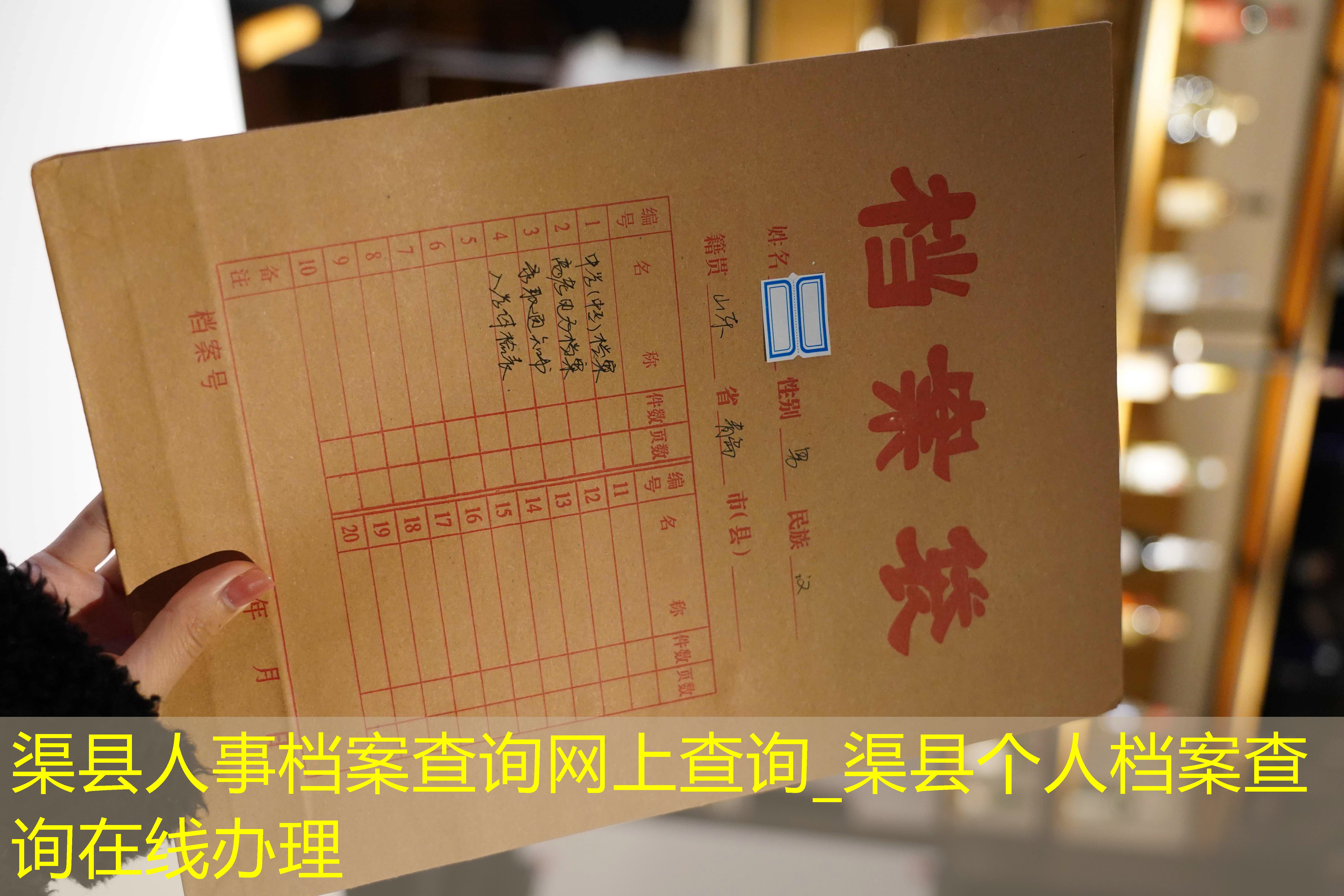 档案查询