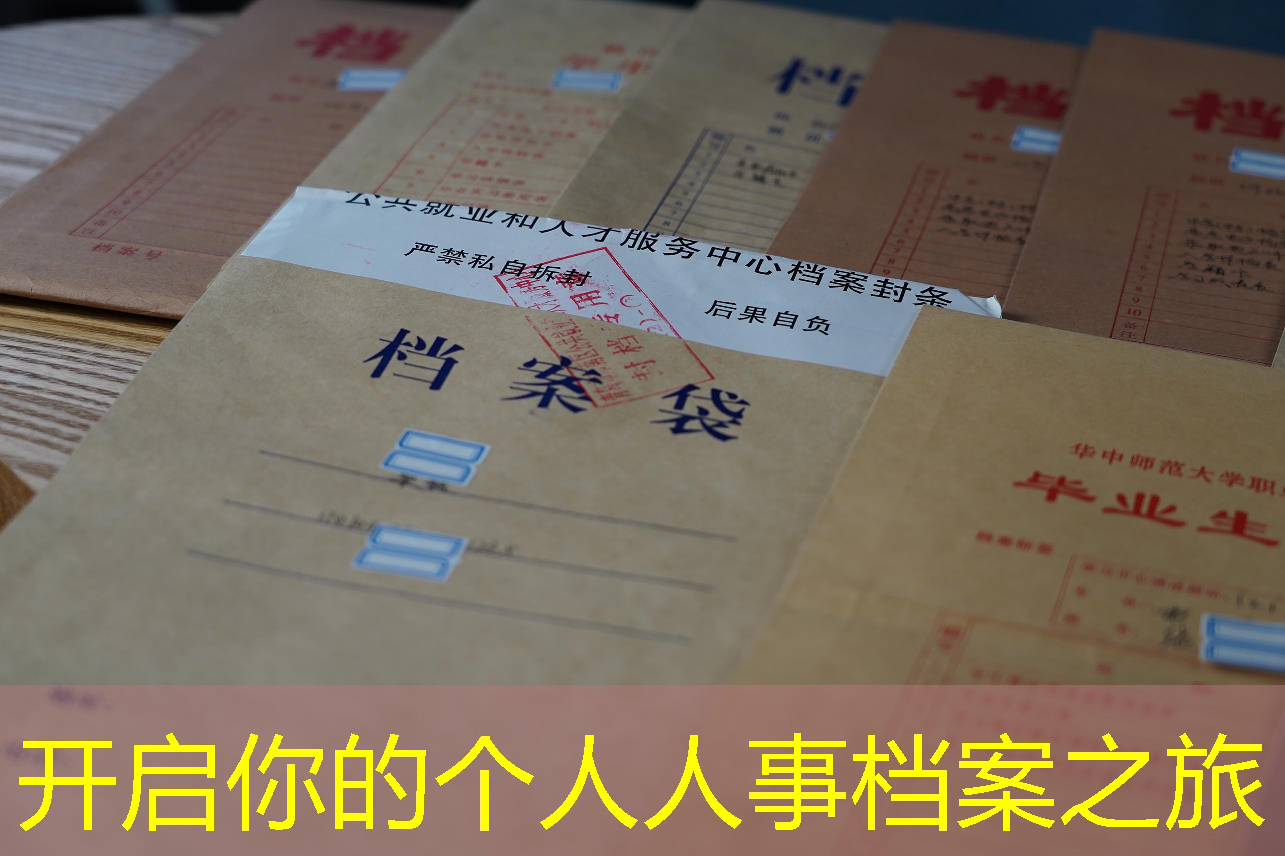 档案查询