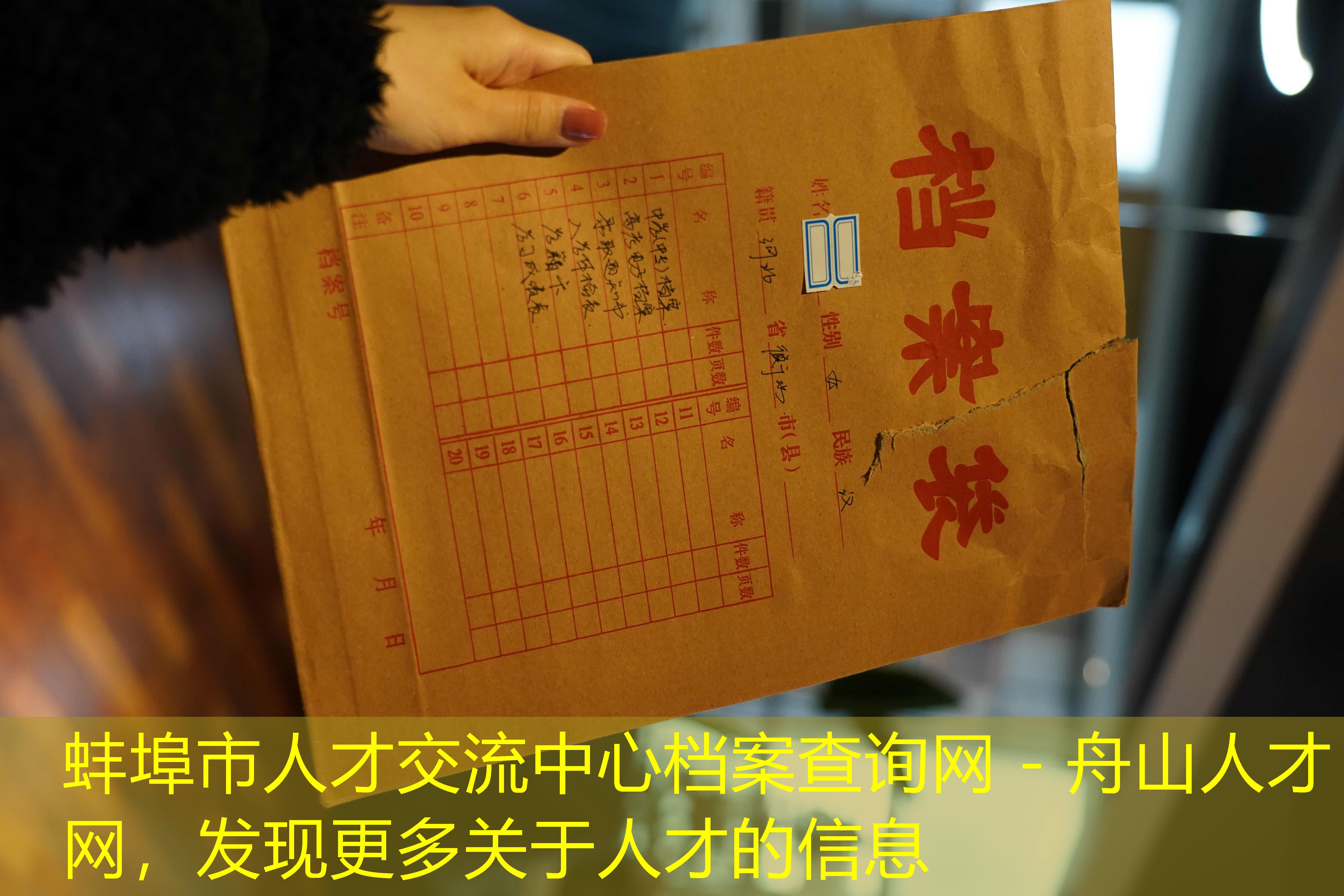 档案查询