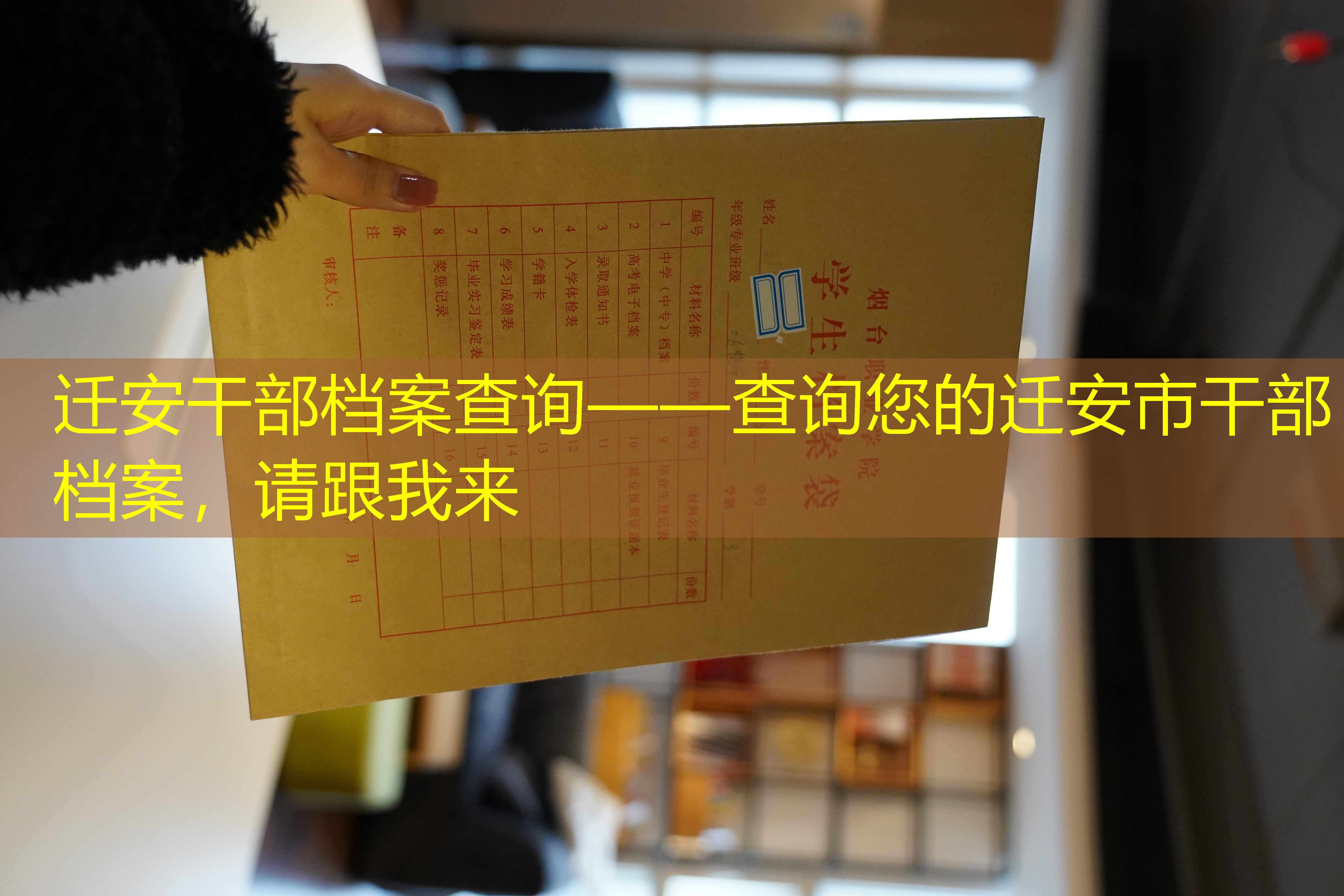 档案查询