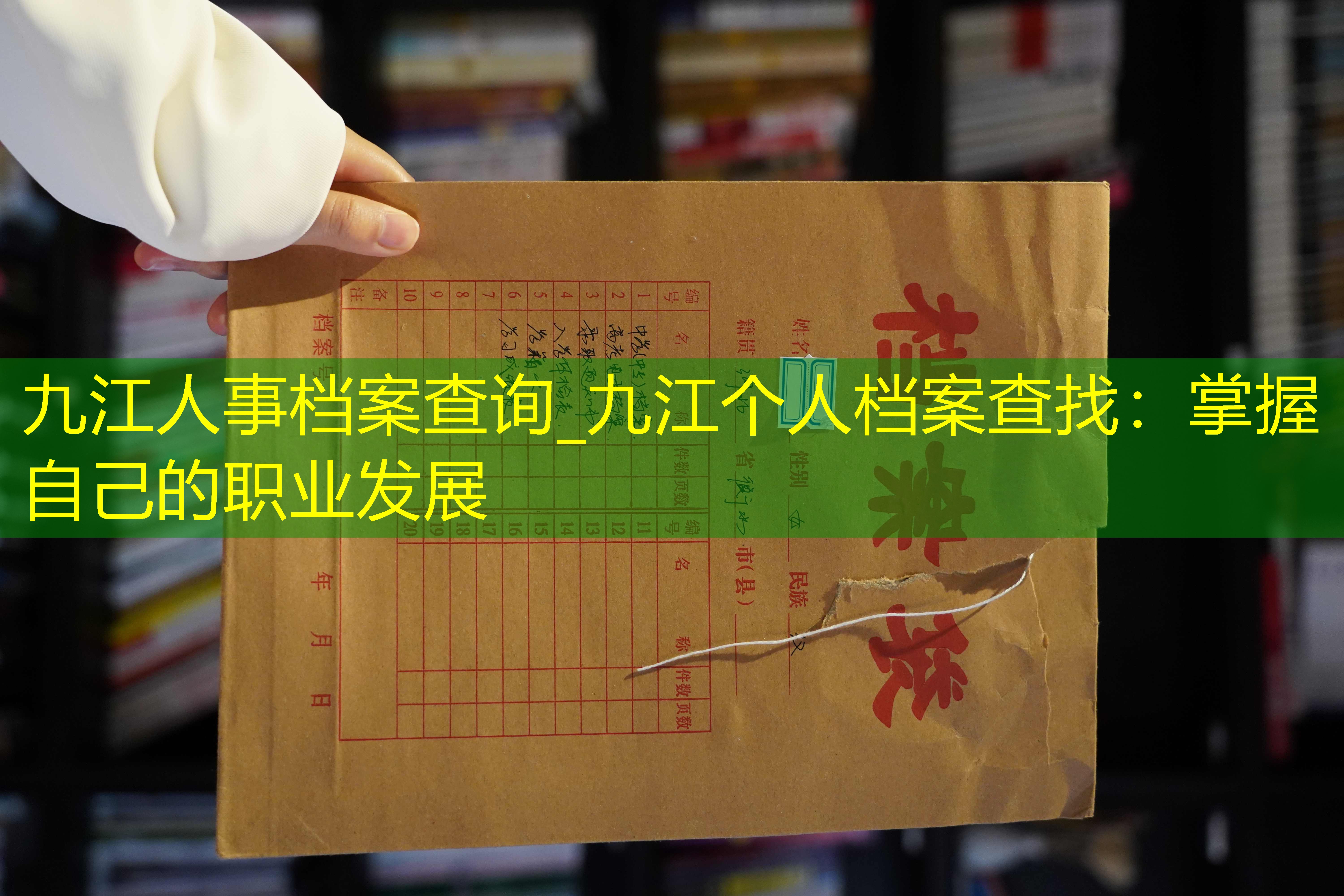 档案查询