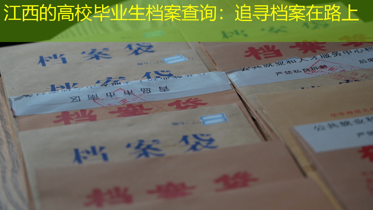 档案查询