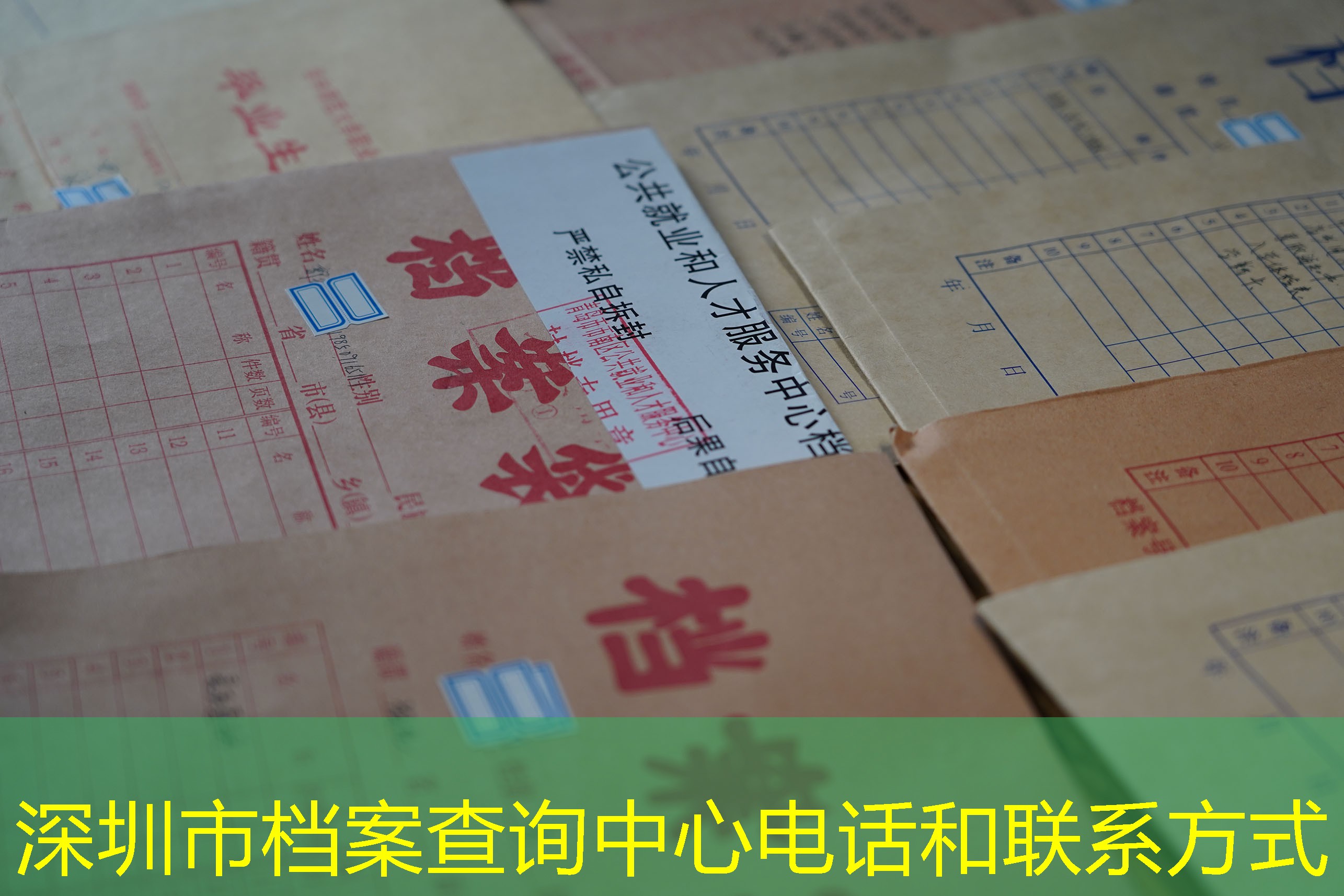 档案查询
