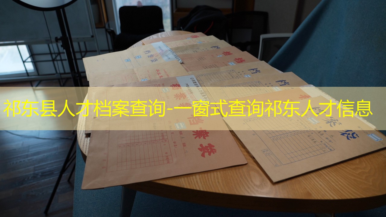 档案查询