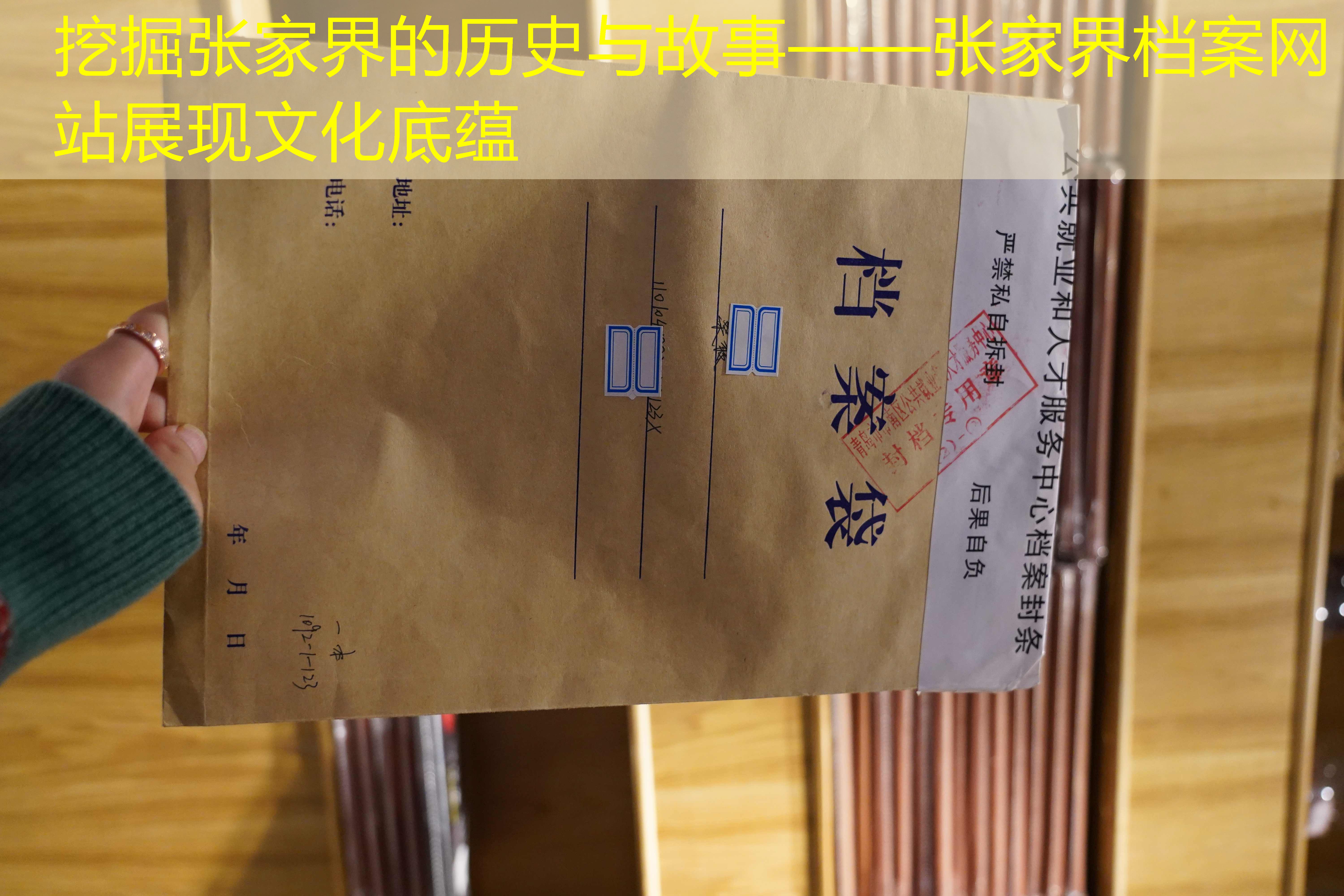 档案查询